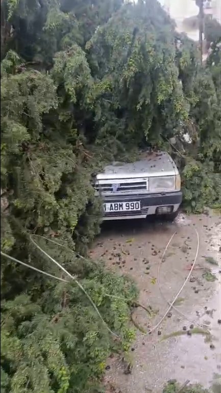 Adana trafik sel
