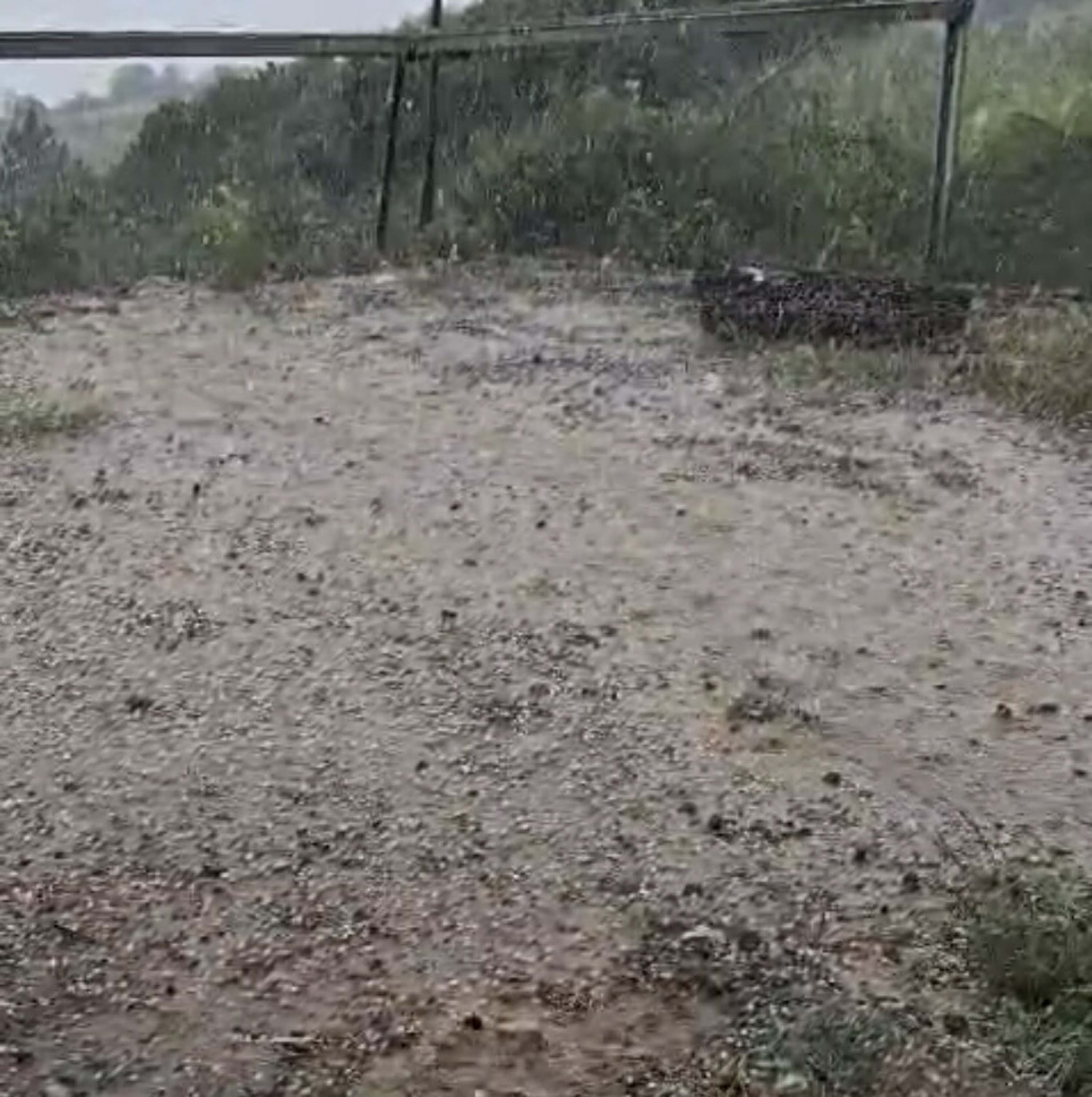 Manisa Alaşehir dolu yağışı tarım hasarı