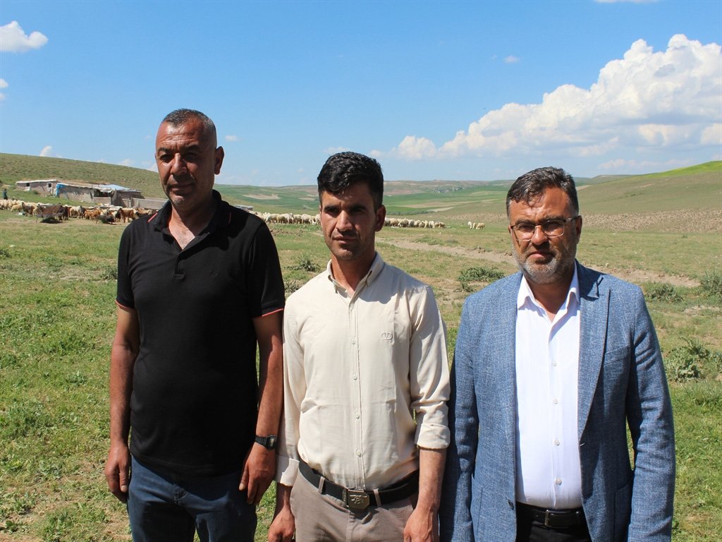 ithal çoban projesi