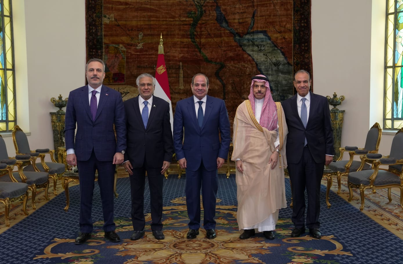 Hakan Fidan, Abdulfettah es-Sisi, Mısır Cumhurbaşkanı