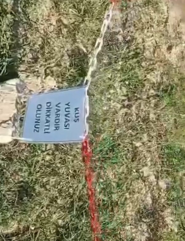 Fuat Kılıç kuş yuvası