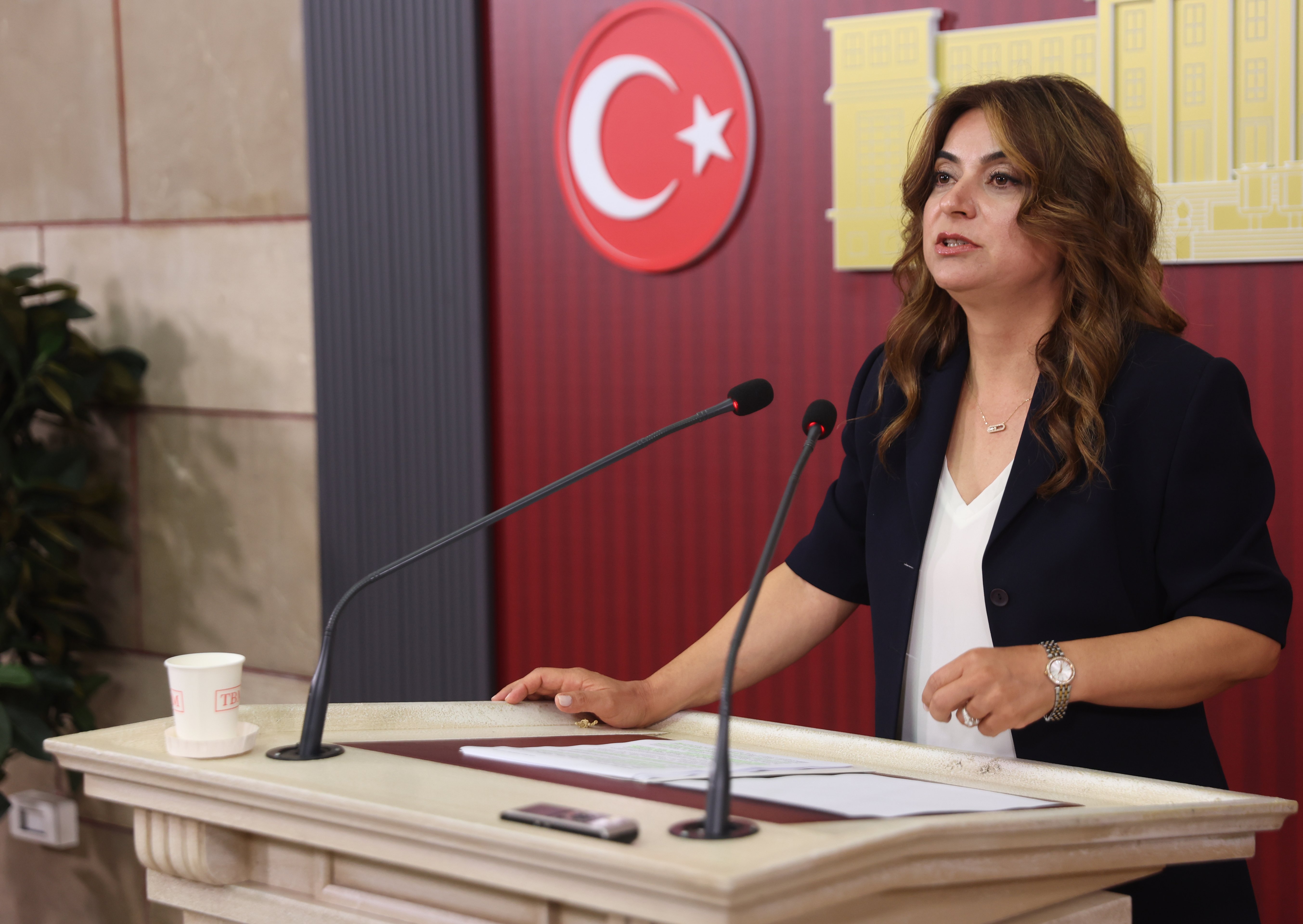 DEM Partili Koçyiğit