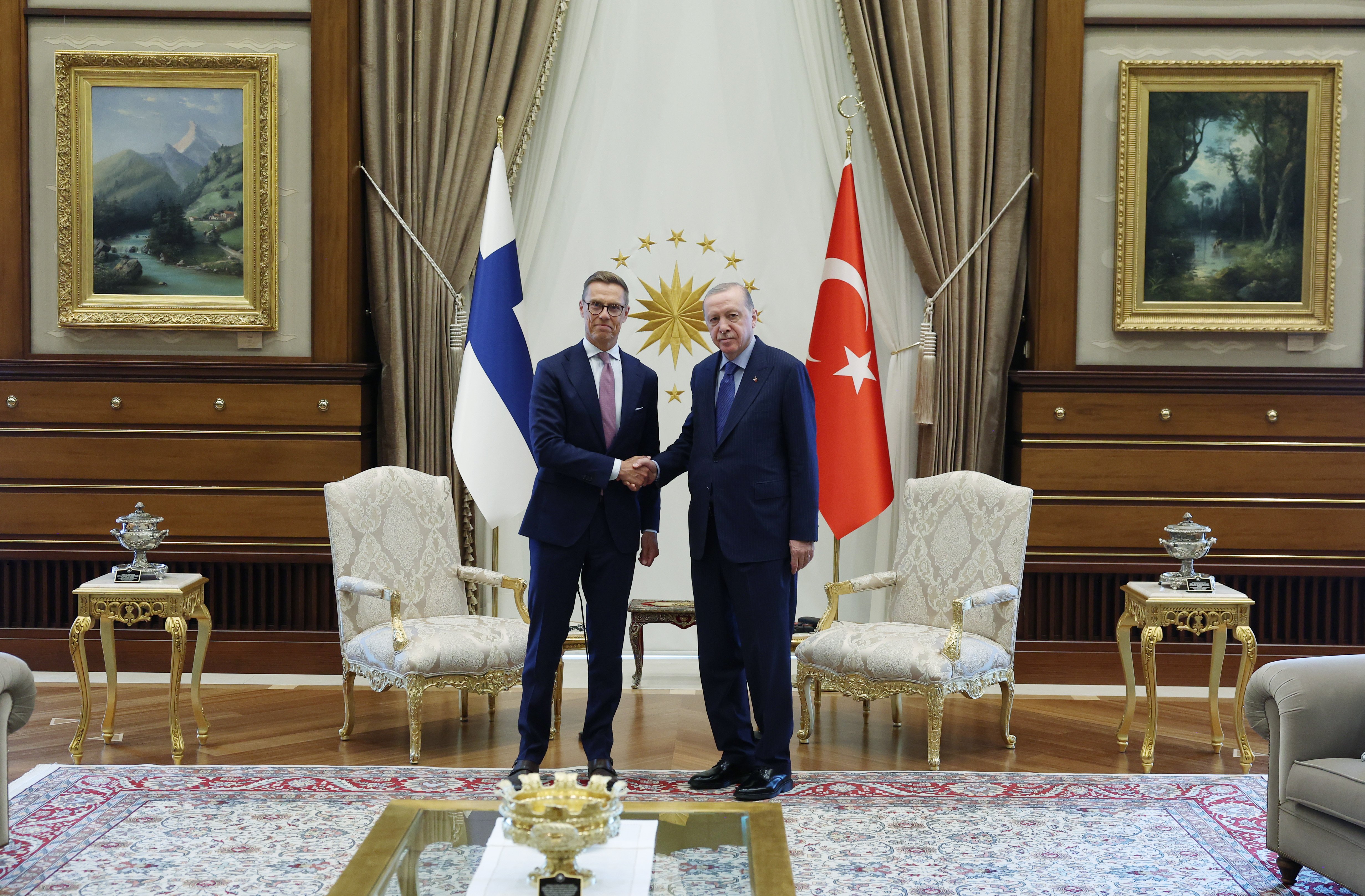Cumhurbaşkanı Erdoğan ve Finlandiya Cumhurbaşkanı Stubb görüşmesi