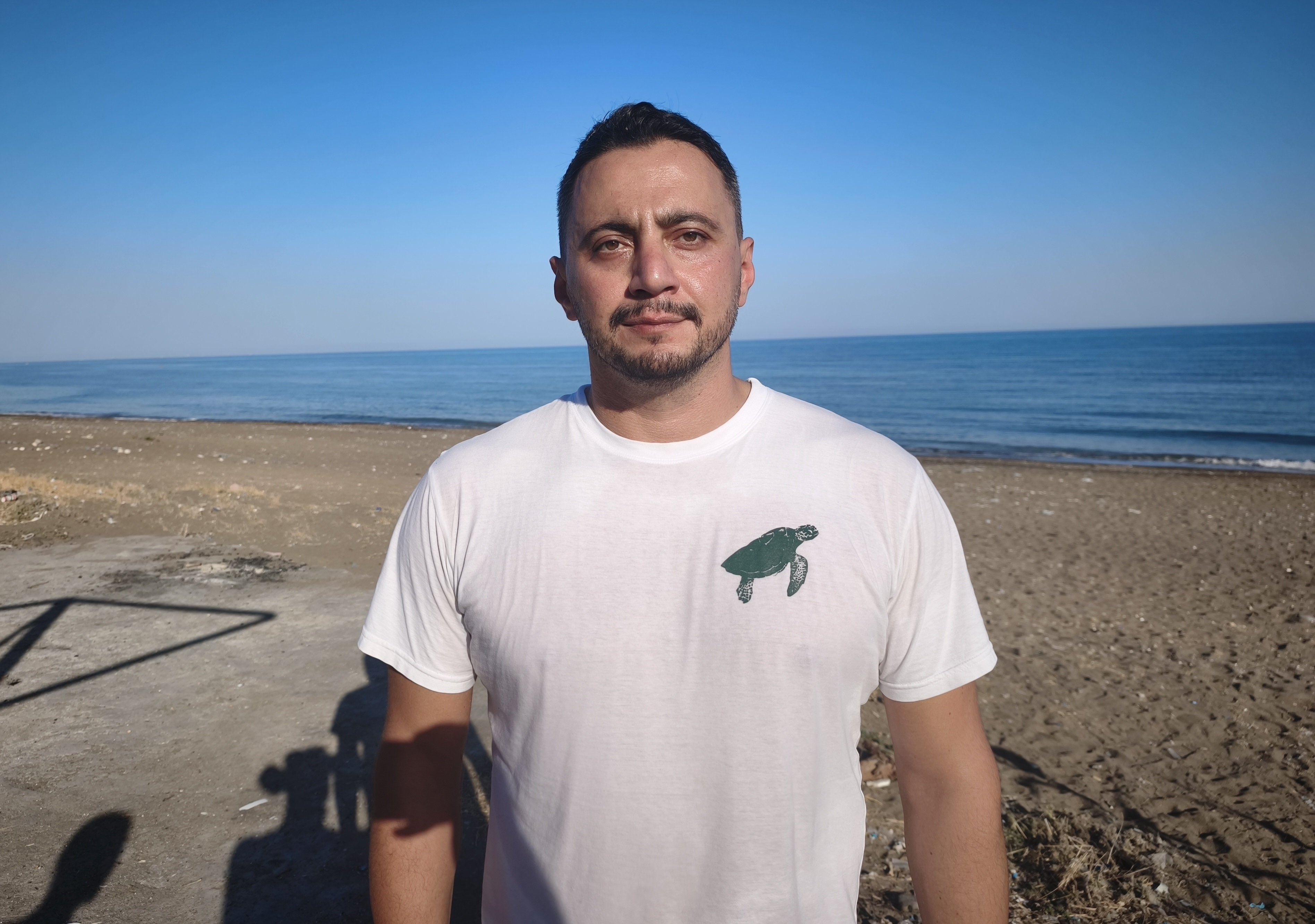 yeşil deniz kaplumbağası yavruları denize ulaşıyor