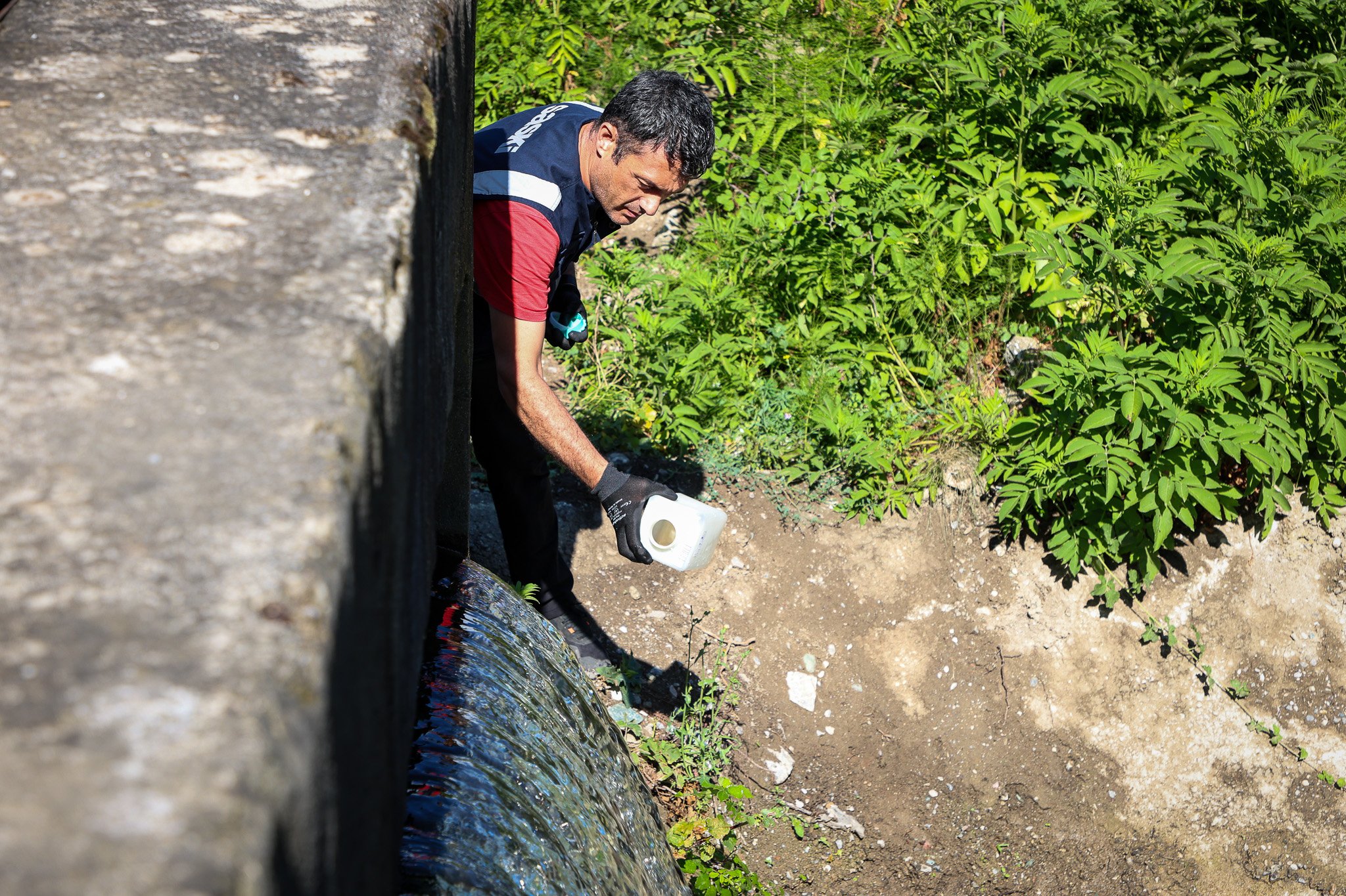 Sapanca Gölü ve doğa
