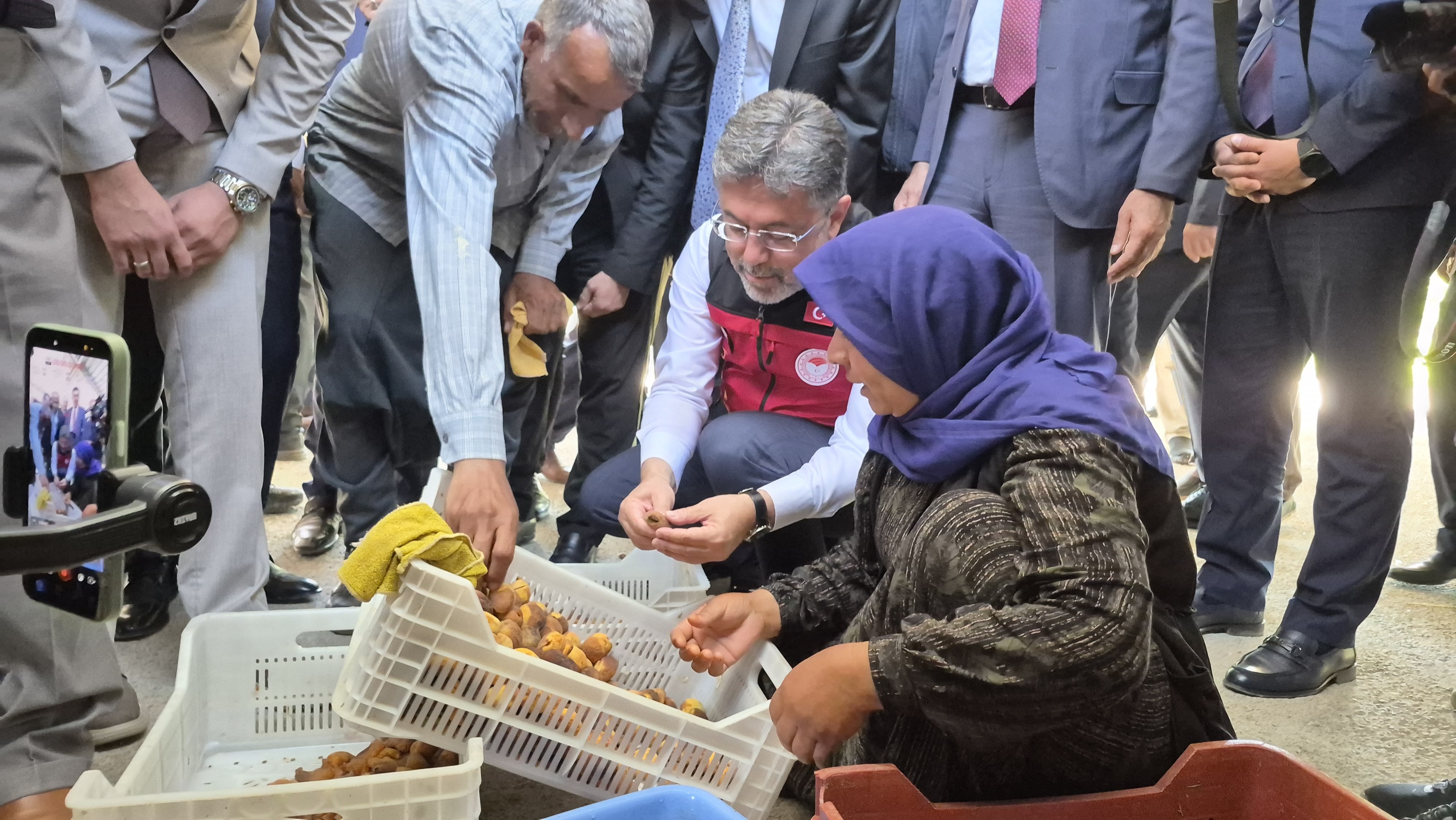 Bakan Yumaklı kayısı bahçesinde çiftçilerle bir arada