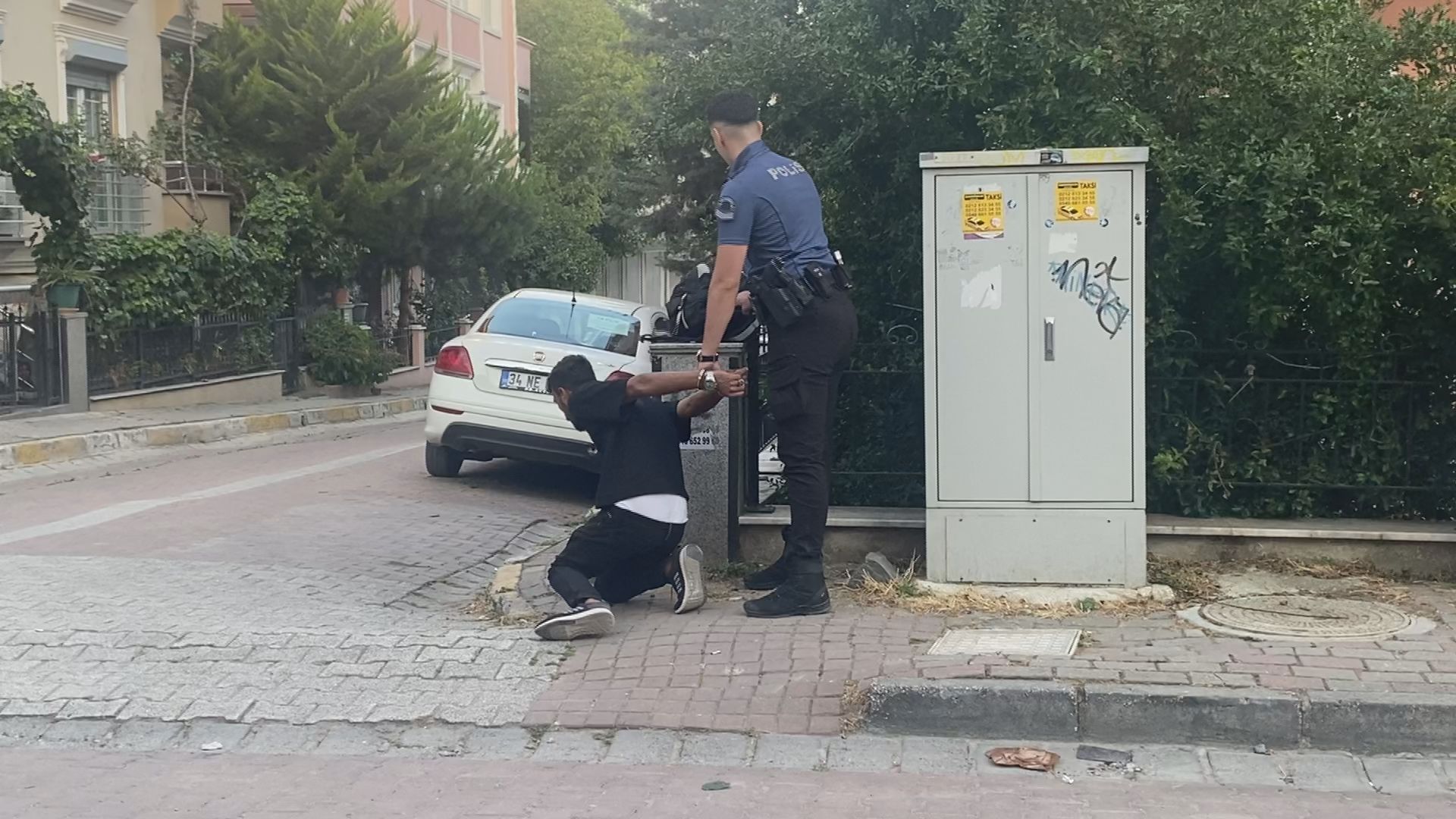 Avcılar