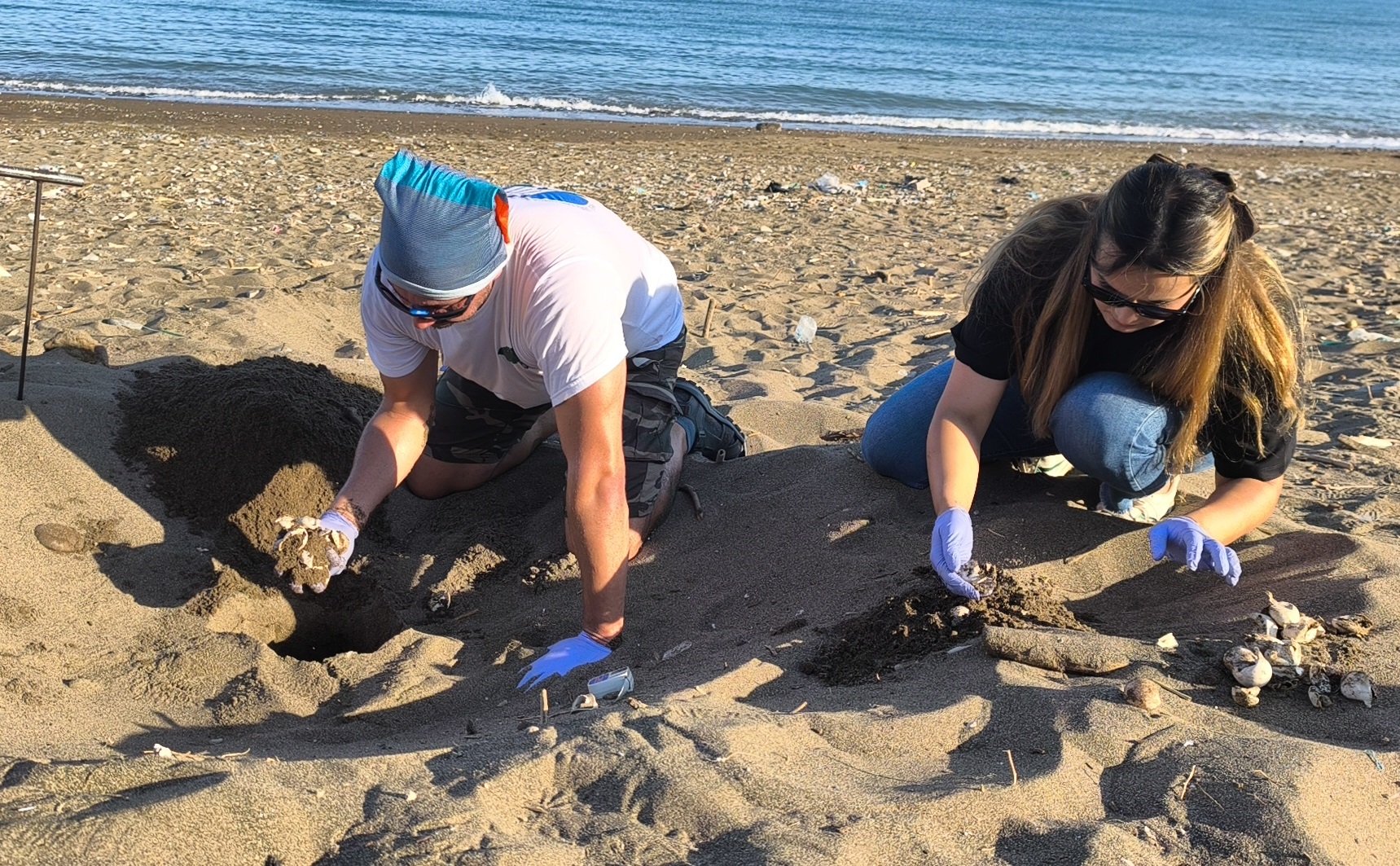 Mersin Davultepe sahilinde deniz kaplumbağası yuvası
