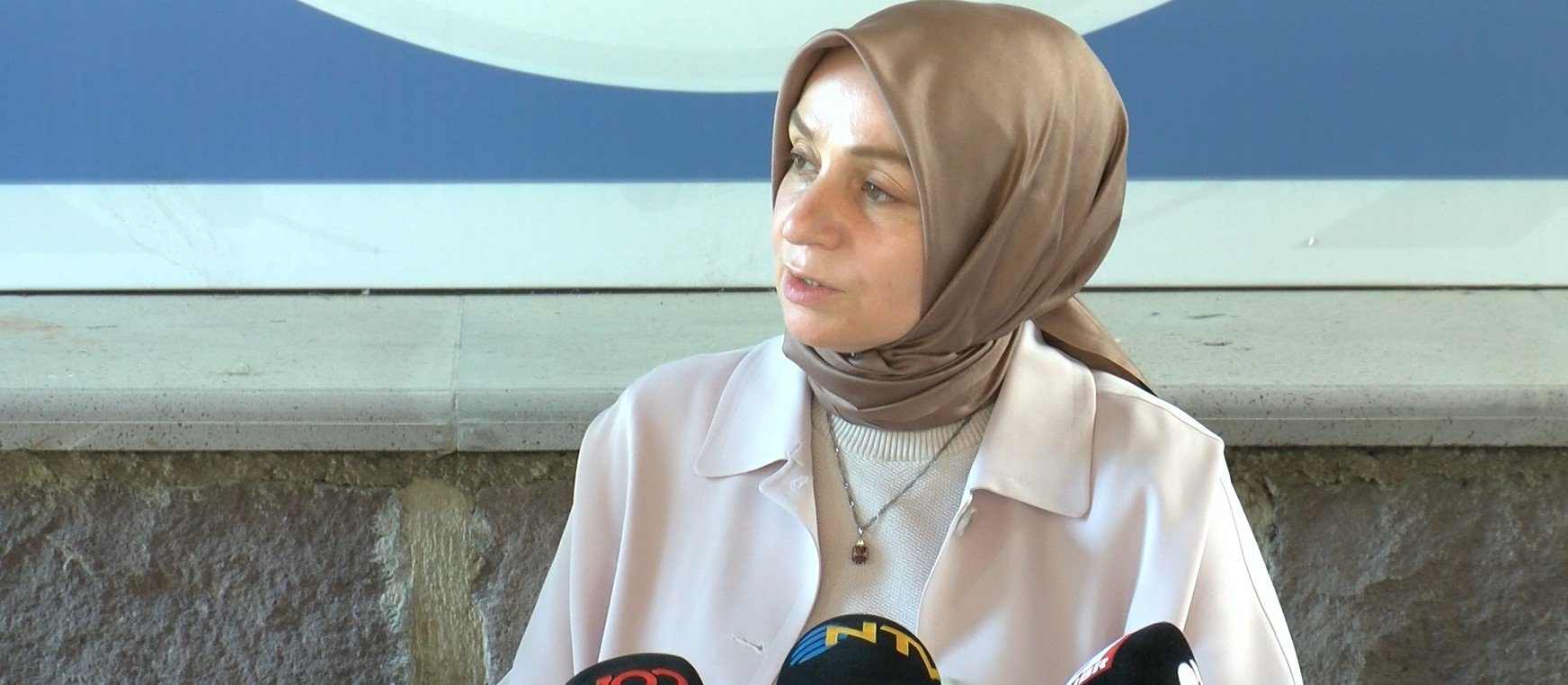 Leyla Şahin Usta, Terörsüz Türkiye süreci yasal düzenlemeleri