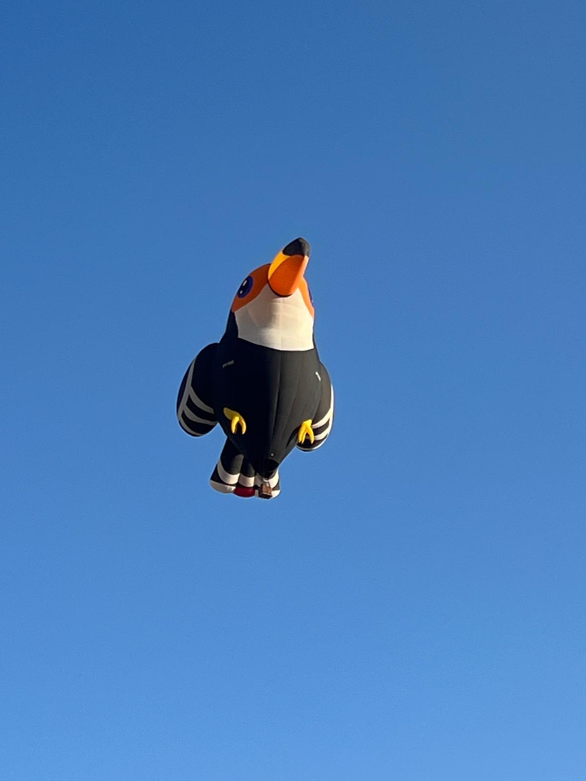 Kapadokya Balon Festivali balonlar