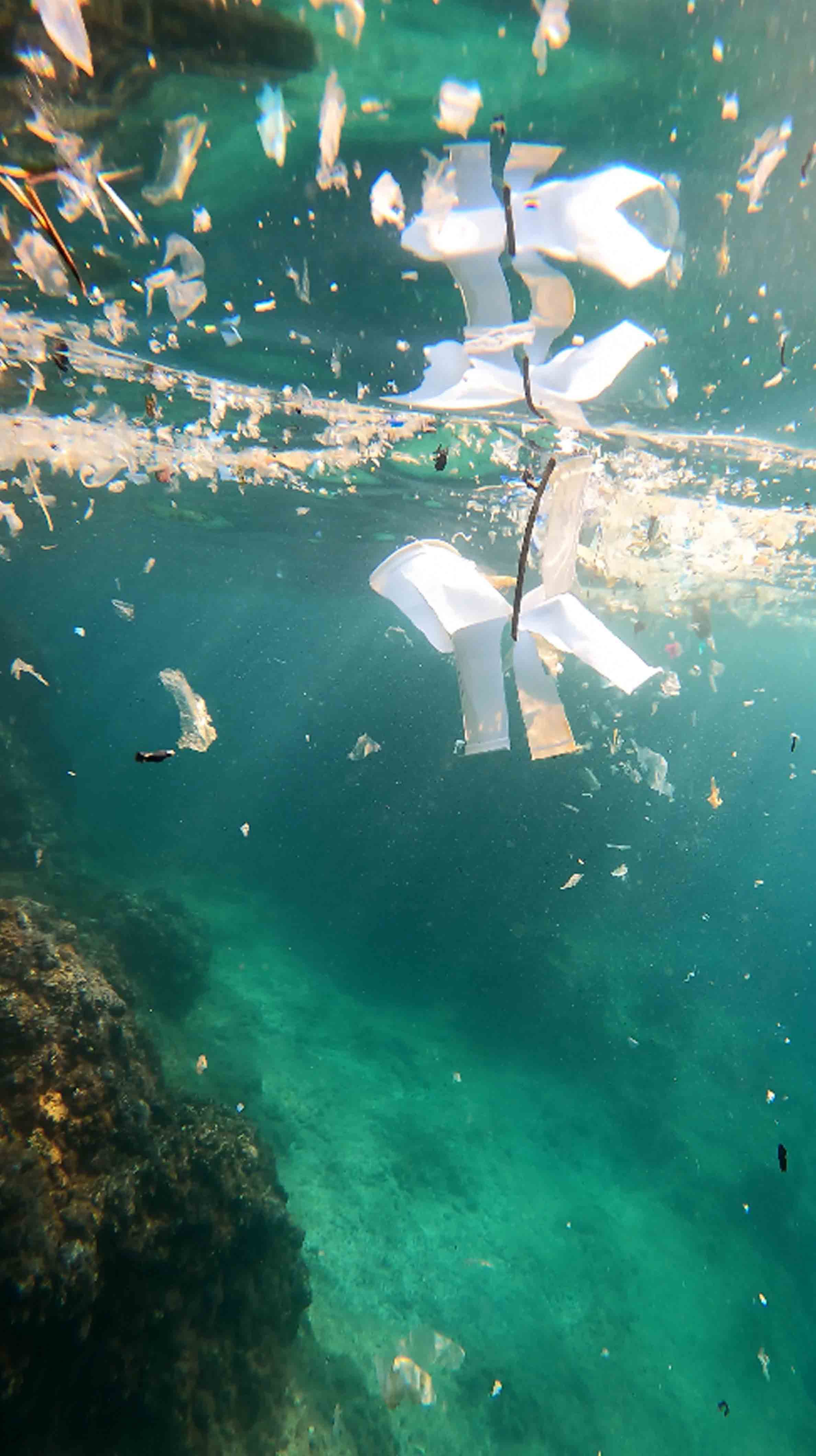 Antalya Valisi Hulusi Şahin, Akdeniz temizliği hakkında açıklamalarda bulundu