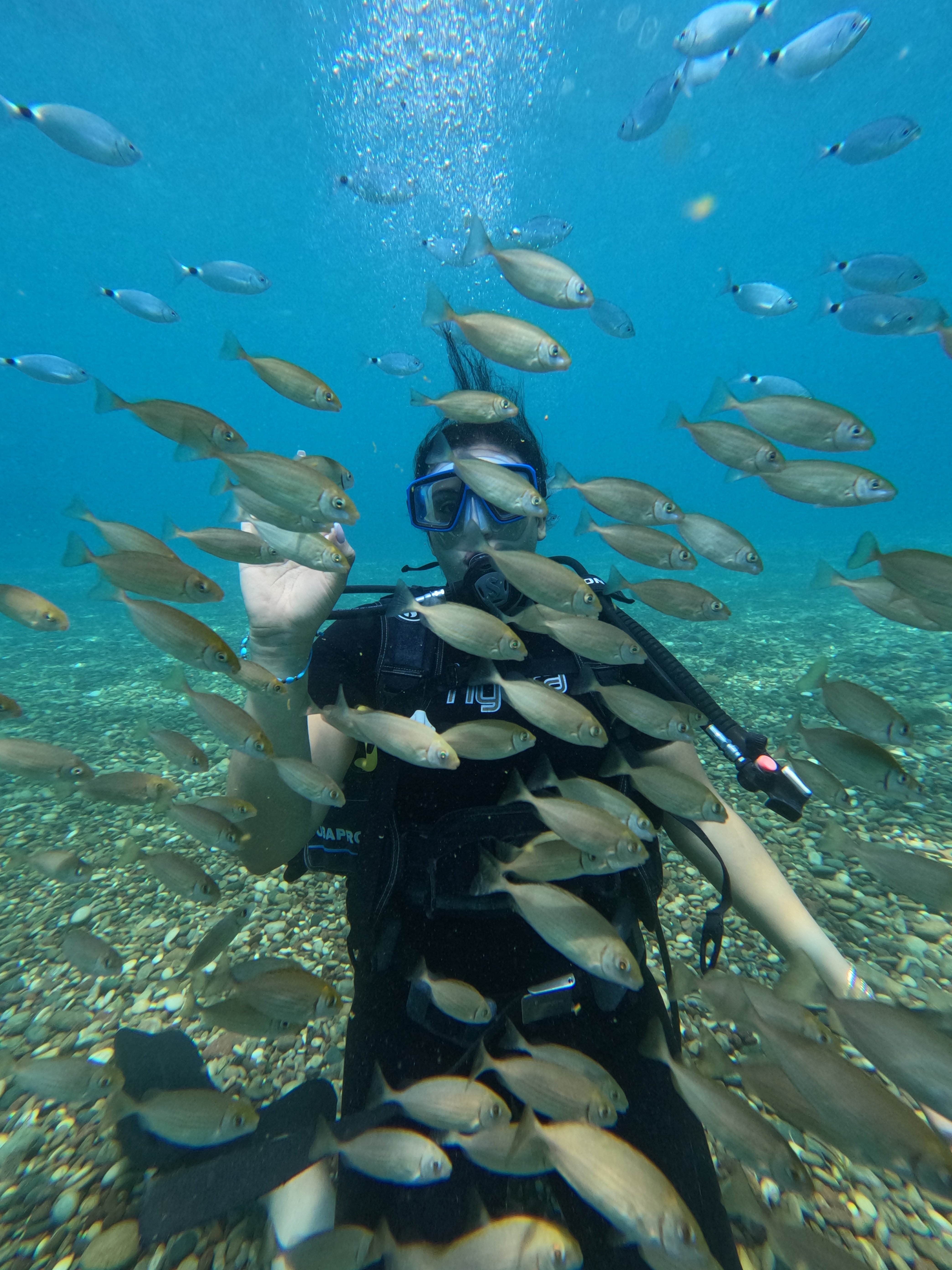 Antalya su altı dalış turizmi