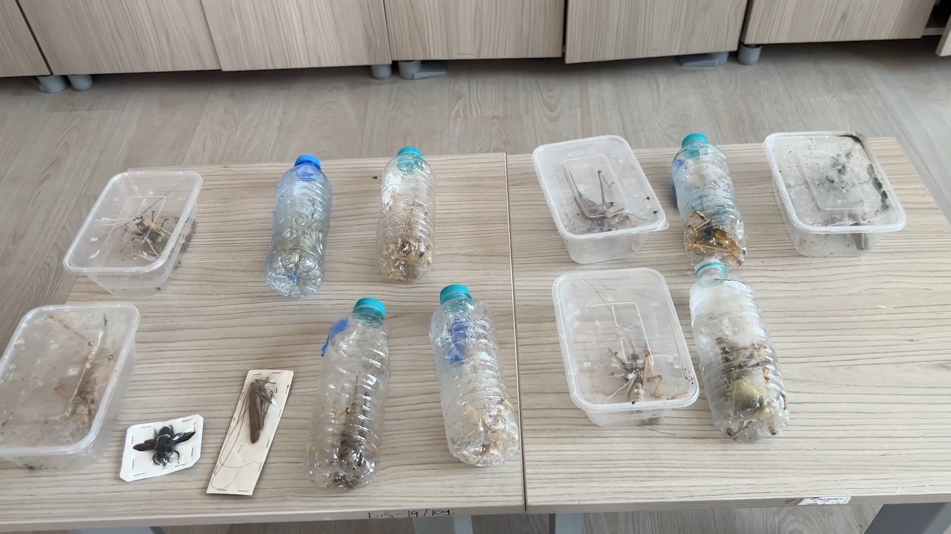 Tarım ve Orman Bakanı İbrahim Yumaklı biyokaçakçılık açıklaması