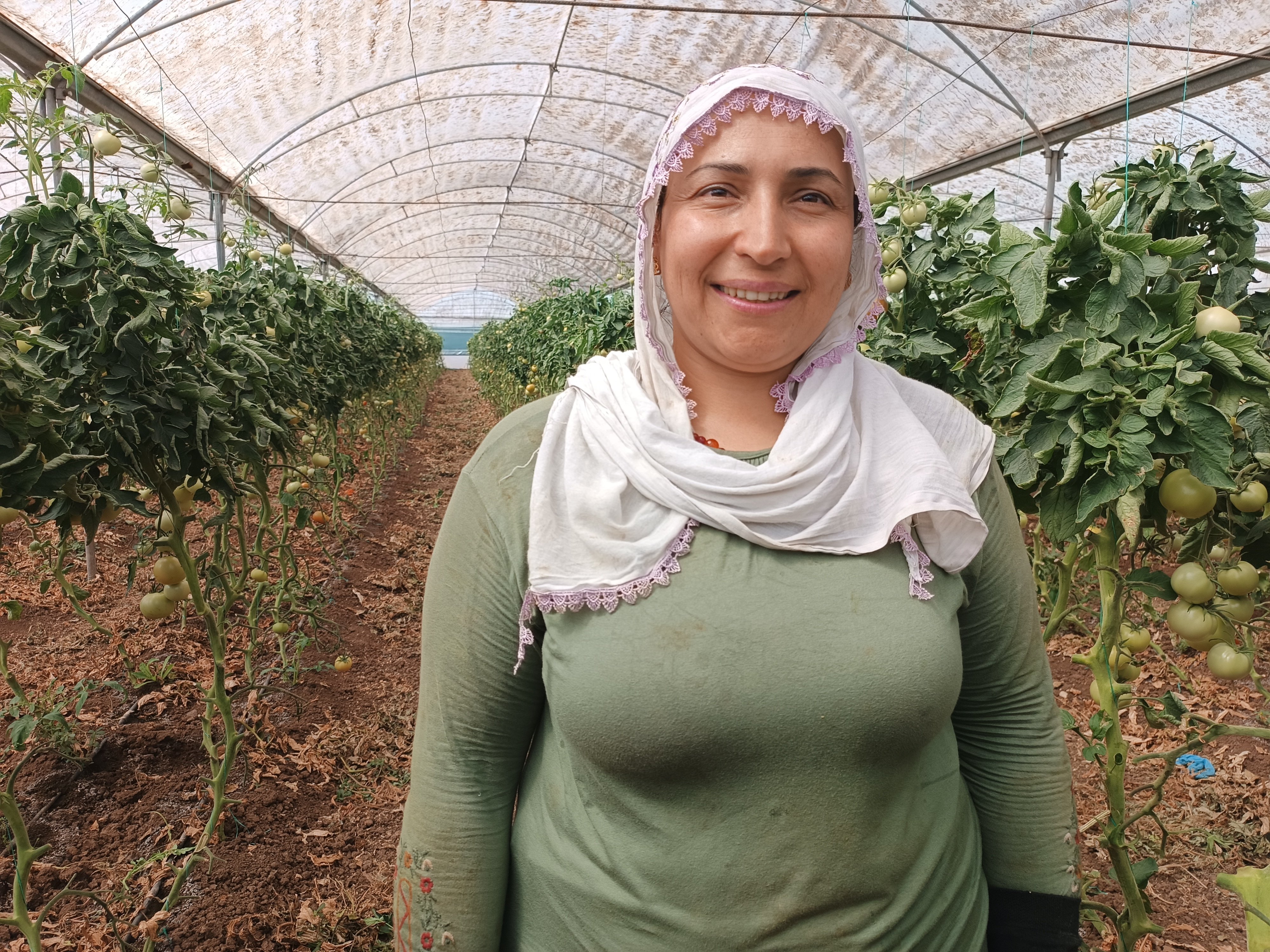 Balpınar seracılık