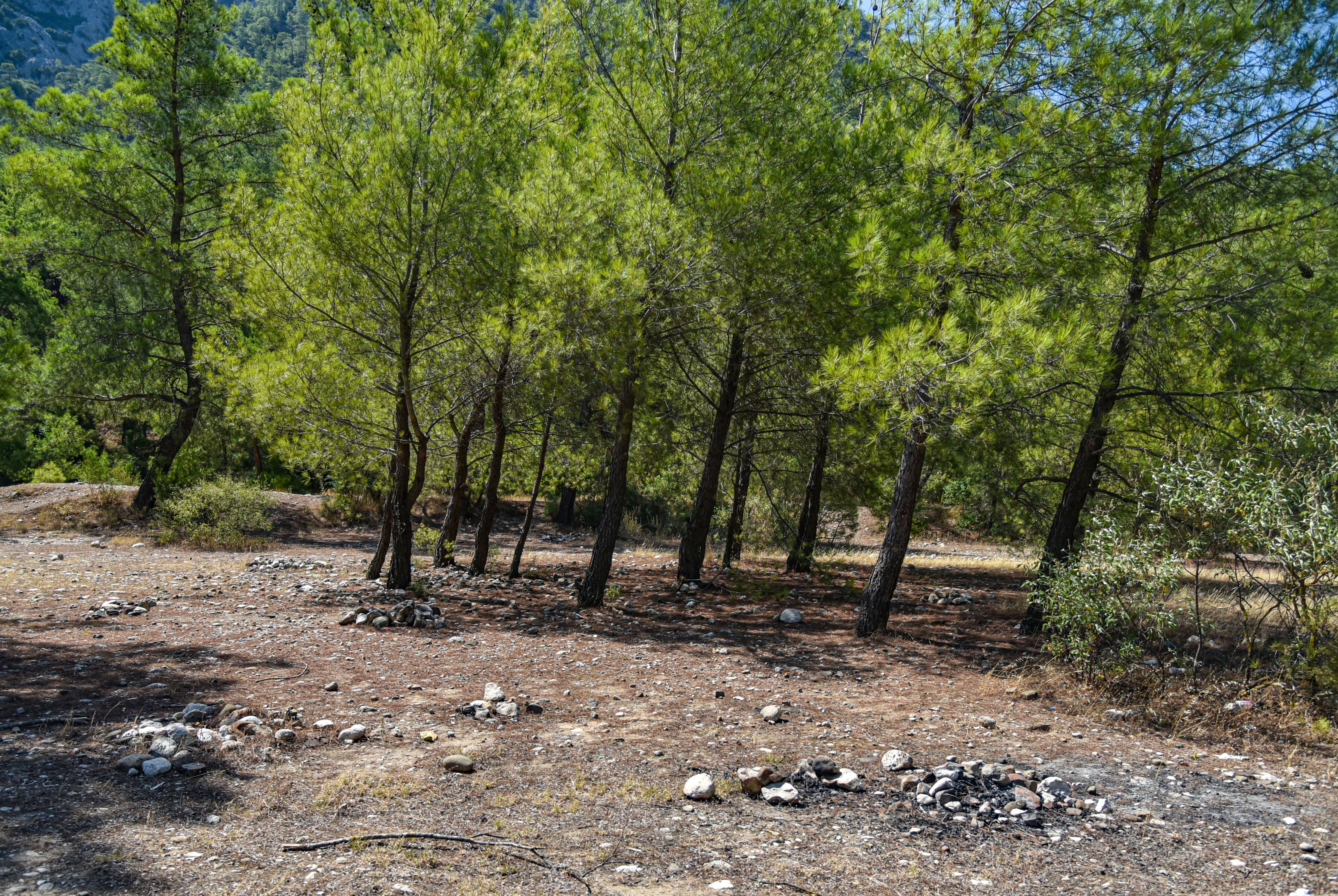 Antalya orman yangını mangal cezası