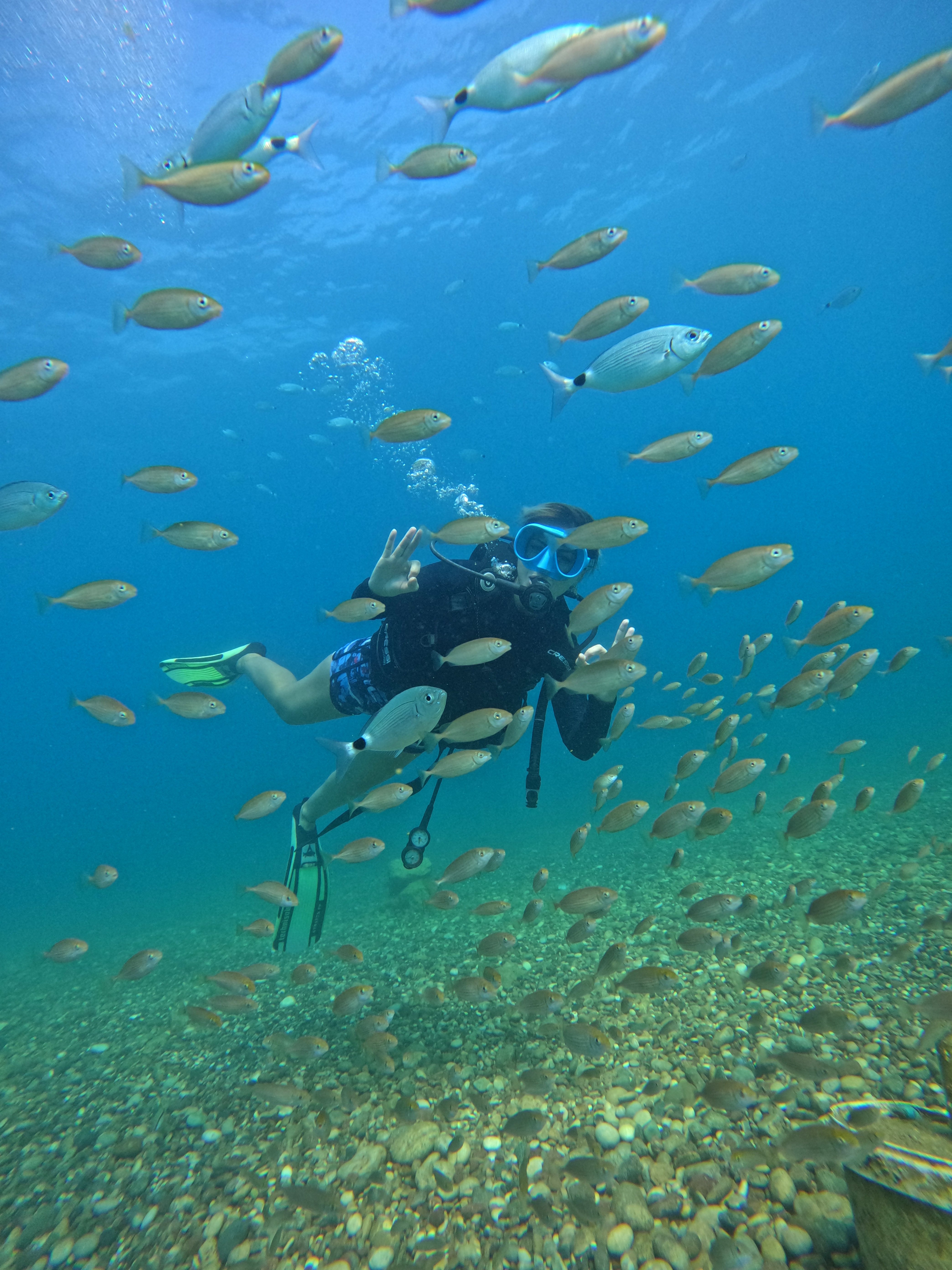 Antalya su altı canlıları dalış