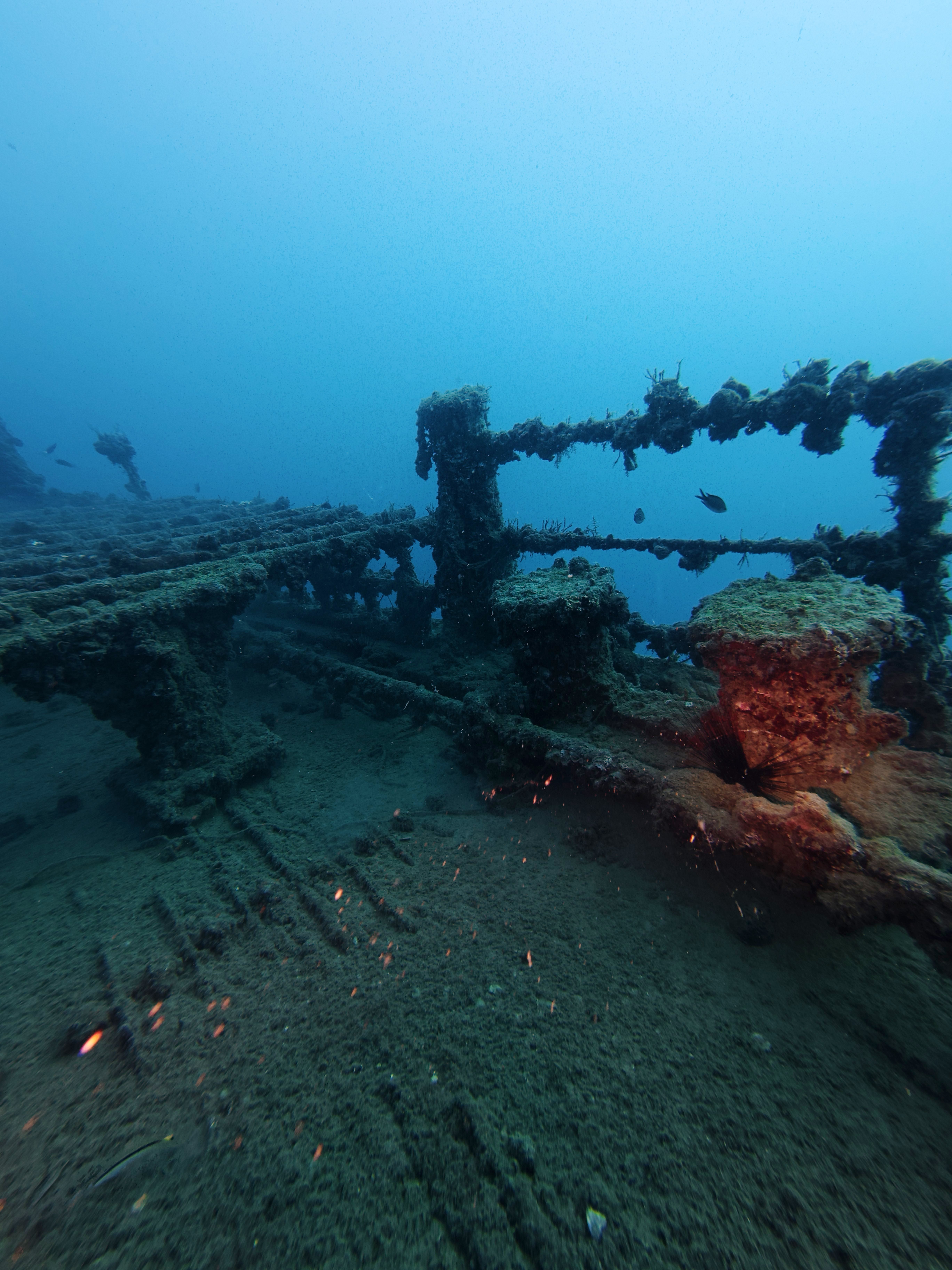Antalya su altı turizmi dalış