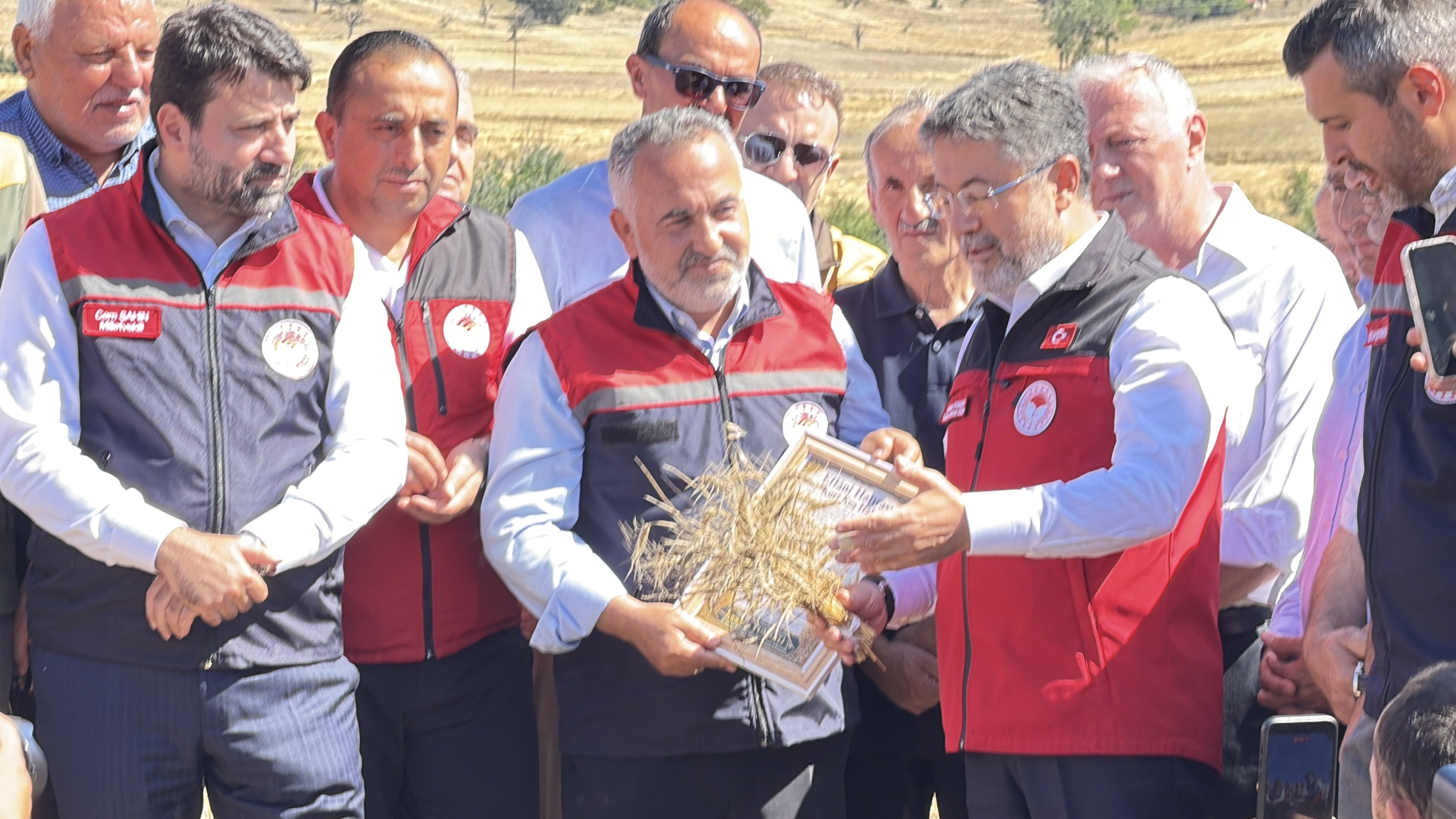Bakan Yumaklı buğday hasat töreninde