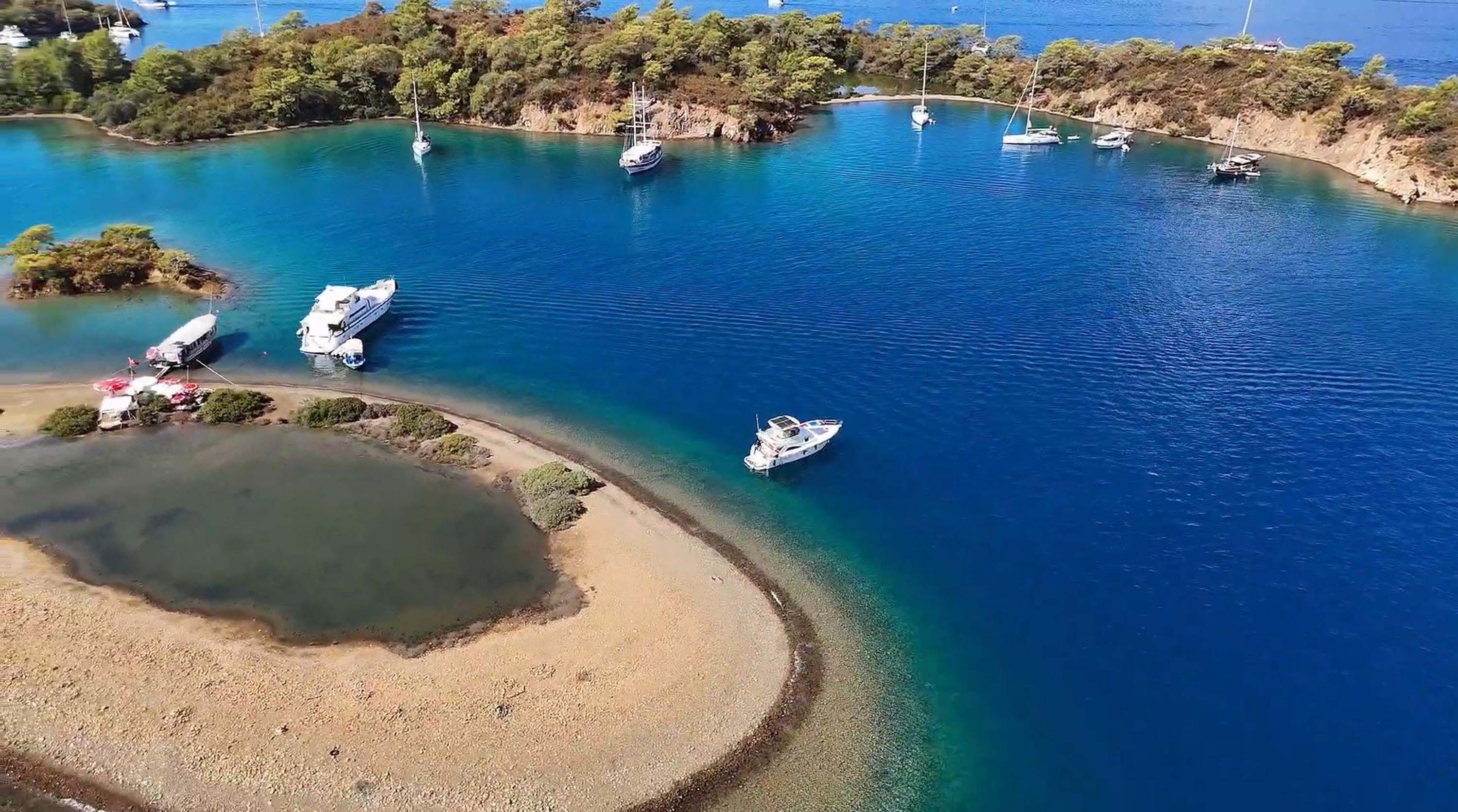 Fethiye-Kaş Deniz Milli Parkı deniz kaplumbağası