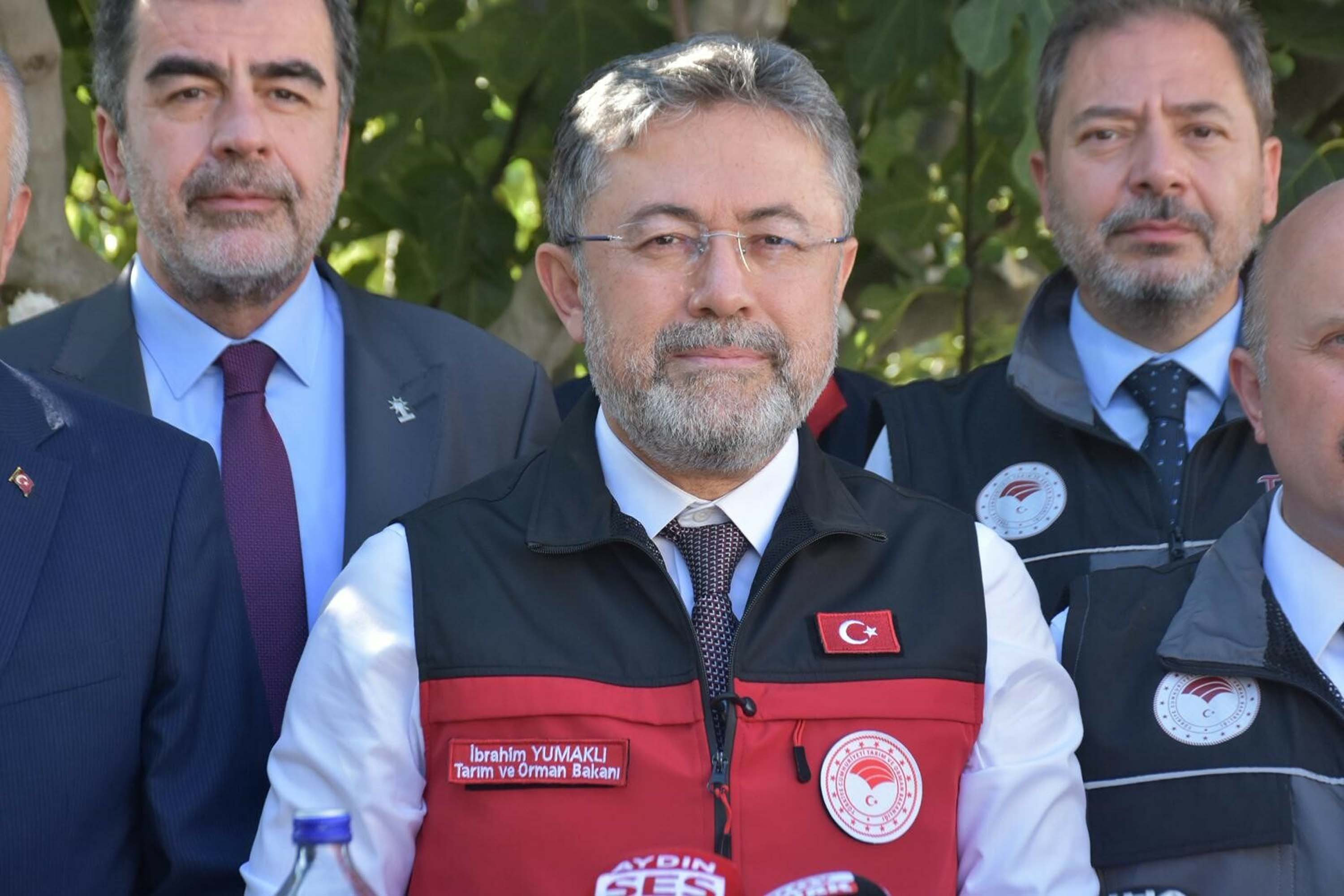 Bakan Yumaklı incir hasadında