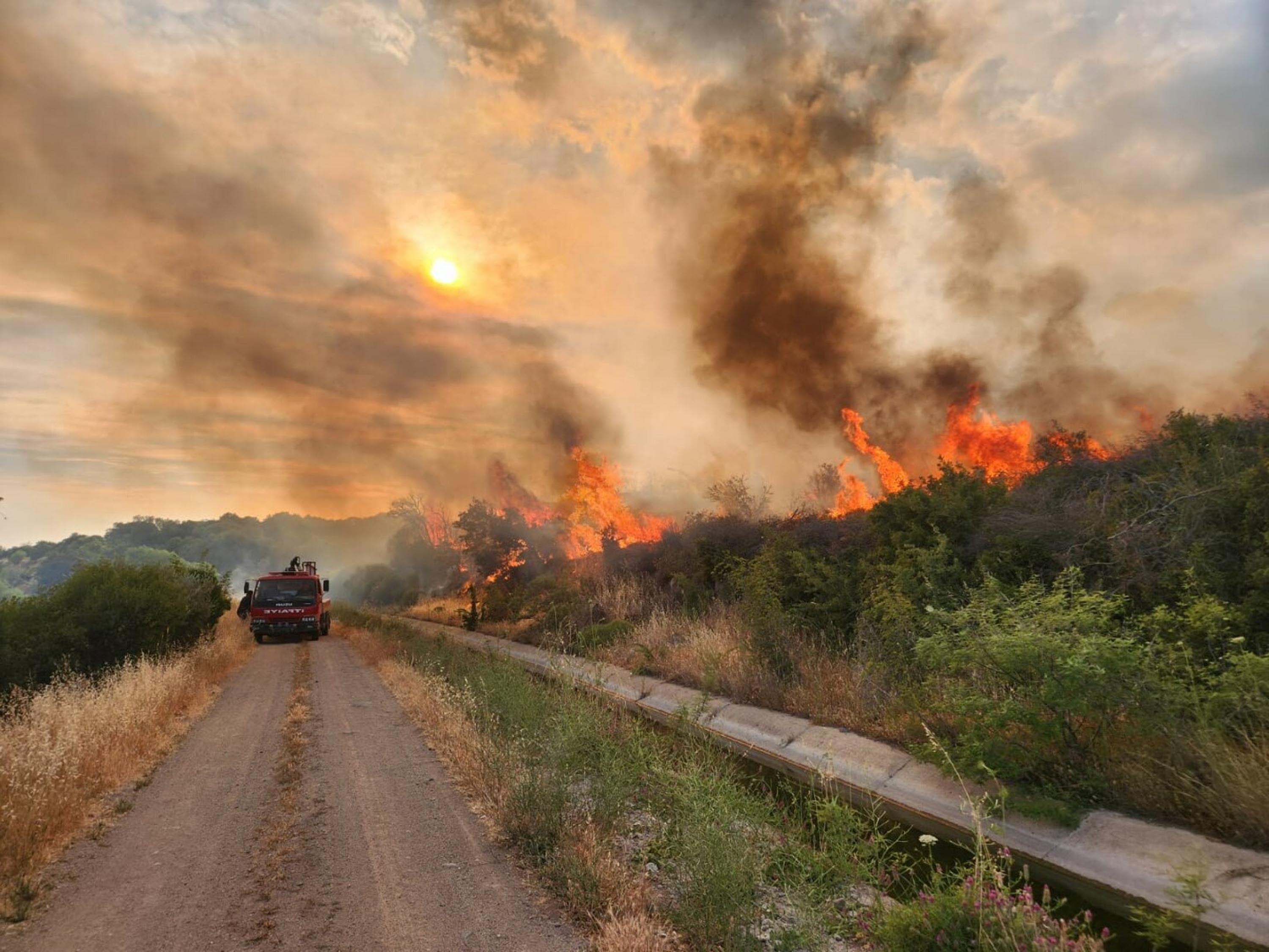 Çanakkale orman yangınları