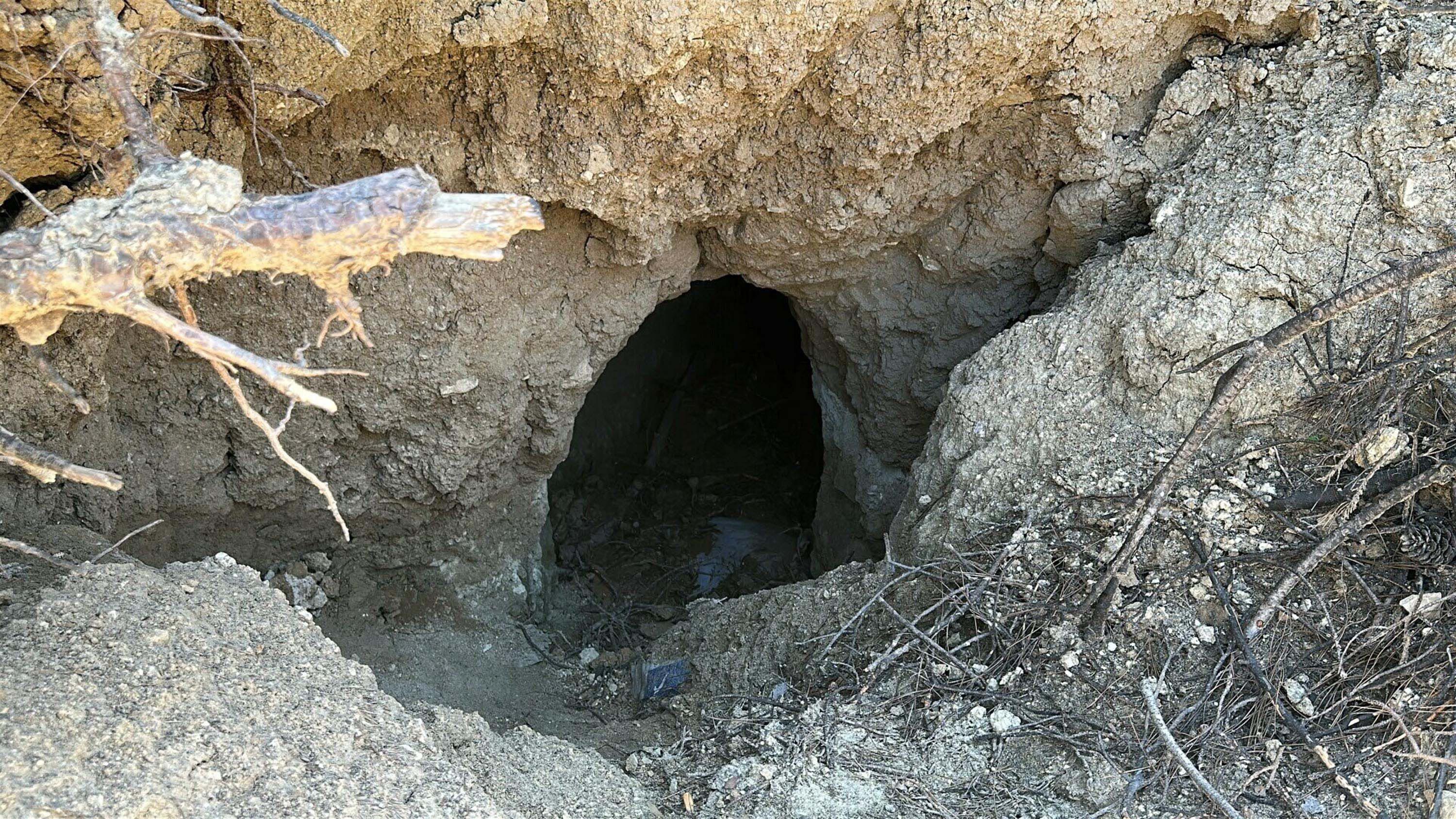 Tümülüs kazı alanından görünüm