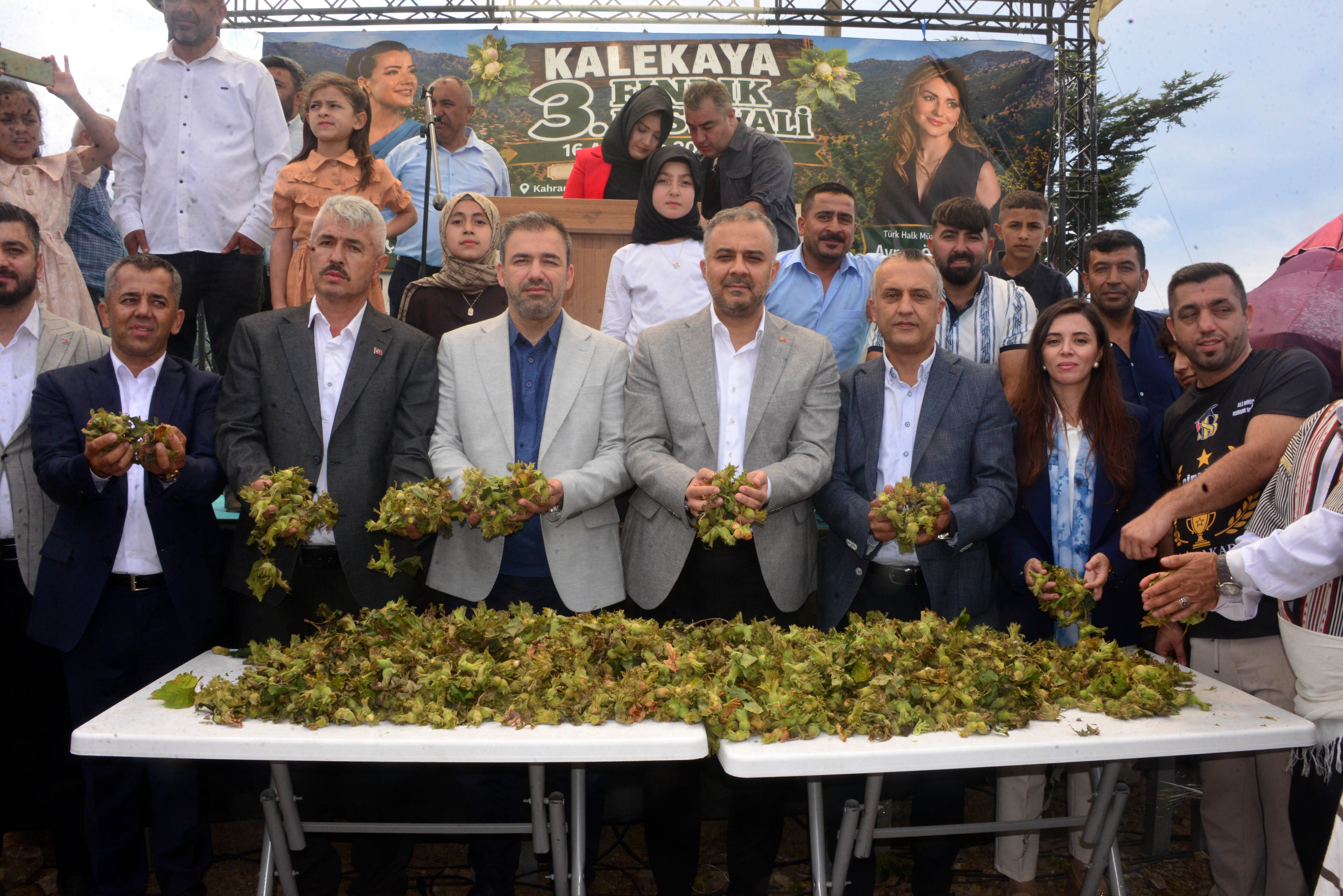 Fındık Festivali Etkinlikleri