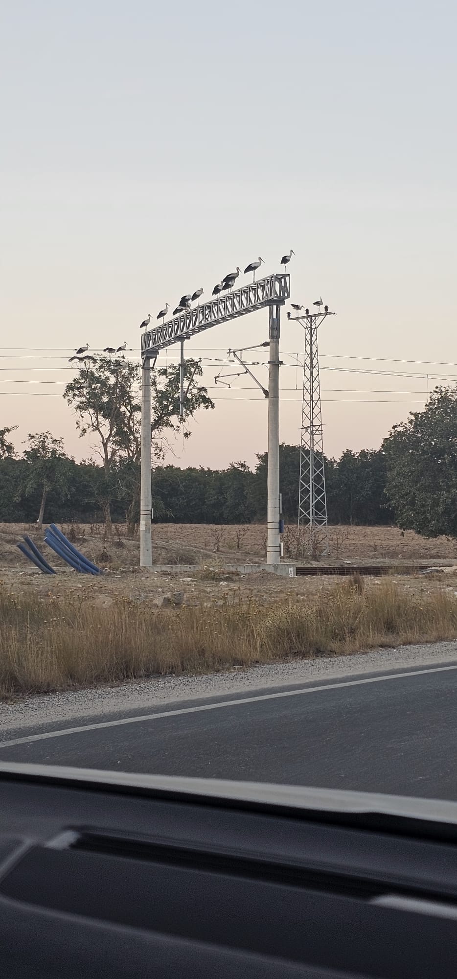 TCDD demiryollarında doğal yaşamı koruyor
