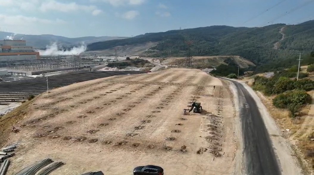 Termik santral sera projesi domates