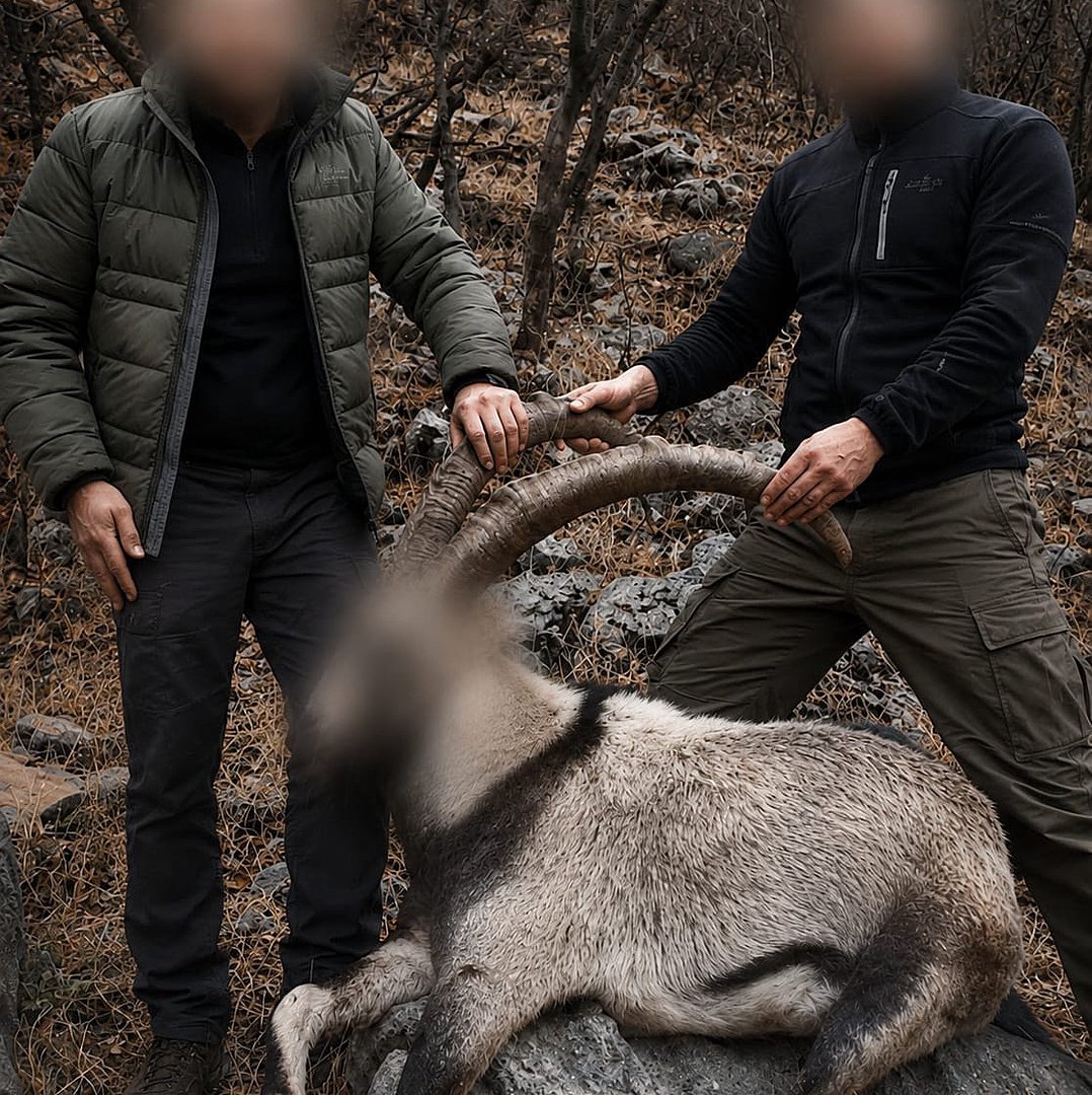 Tarım ve Orman Bakanlığı yaban keçisi avı cezası