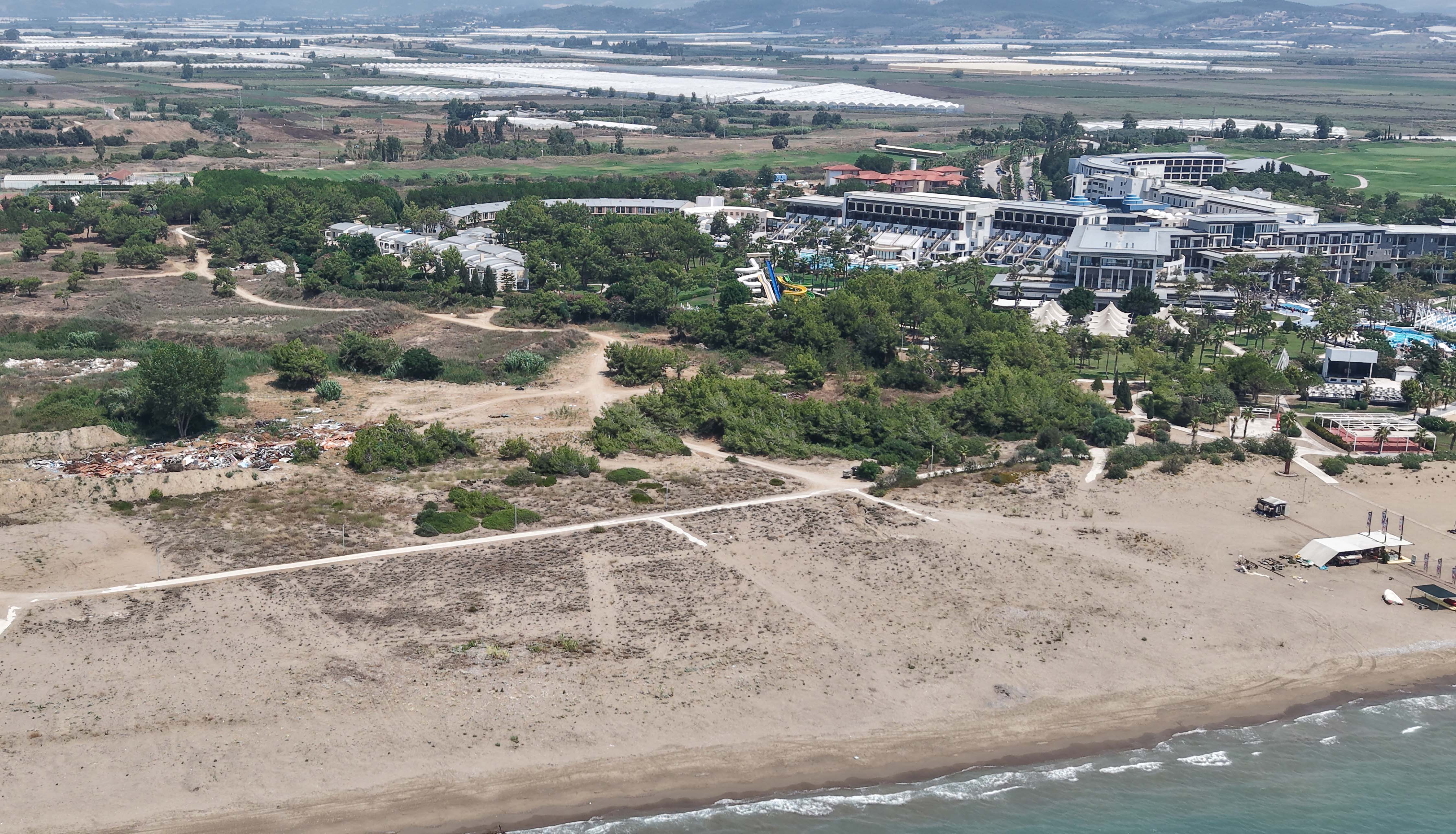 Caretta caretta deniz kaplumbağası