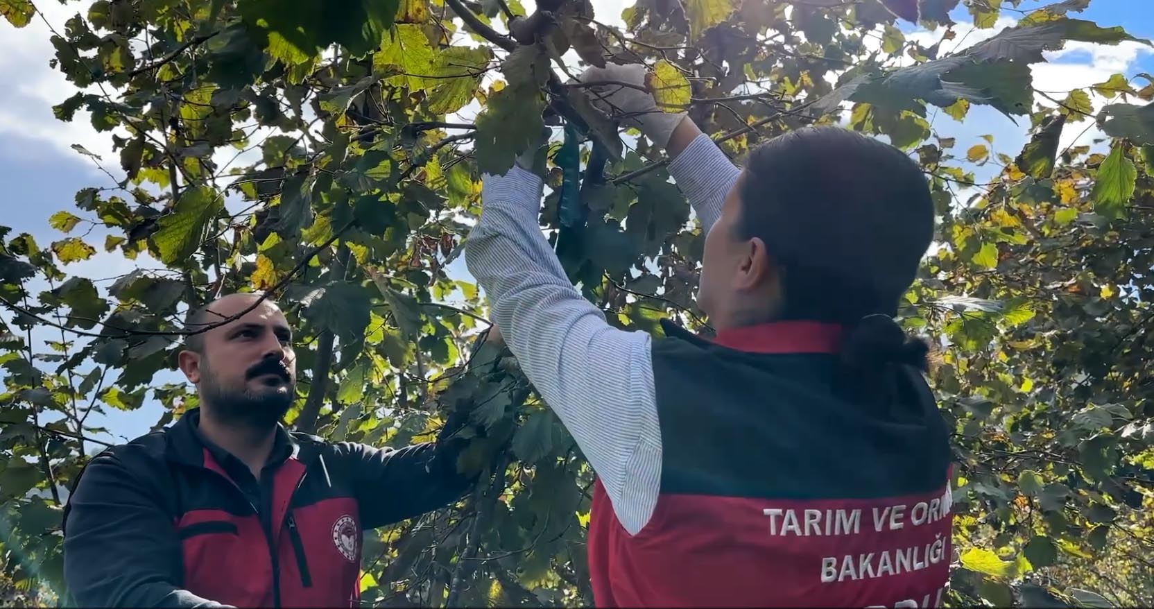 Tarım ve Orman Bakanı İbrahim Yumaklı açıklama