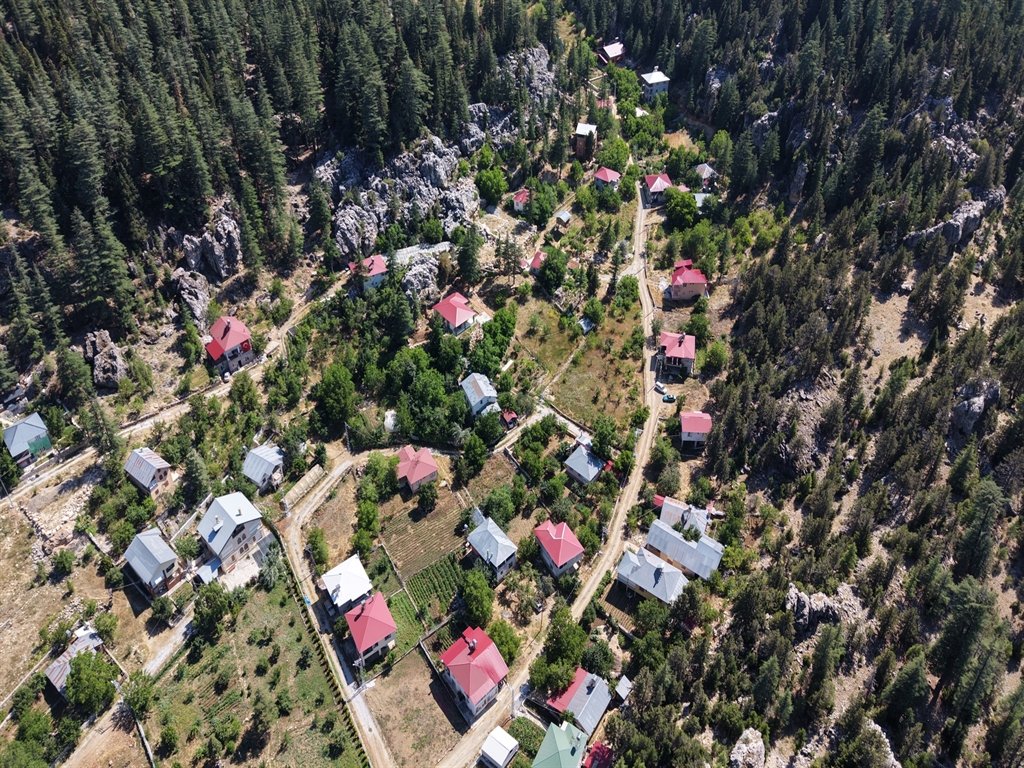 kalp hastaları yayla