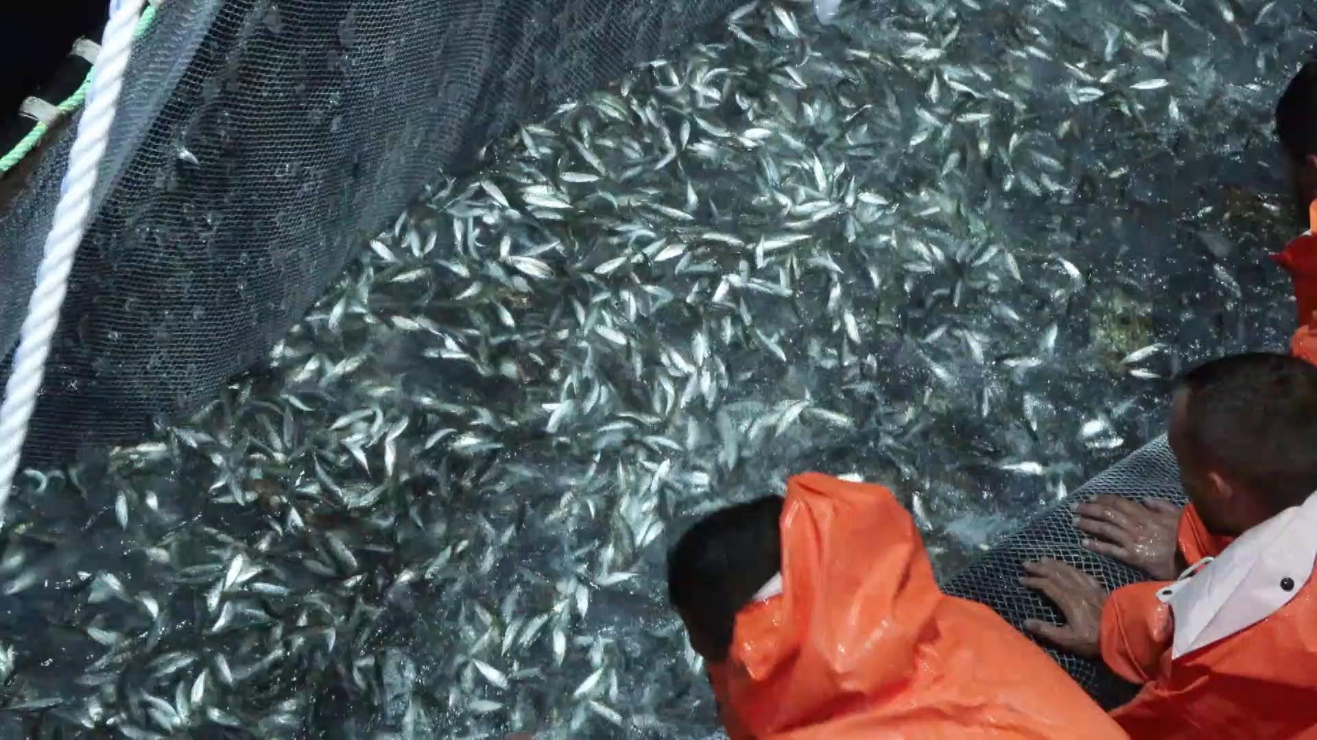 Balıkçı Ünal Karadeniz