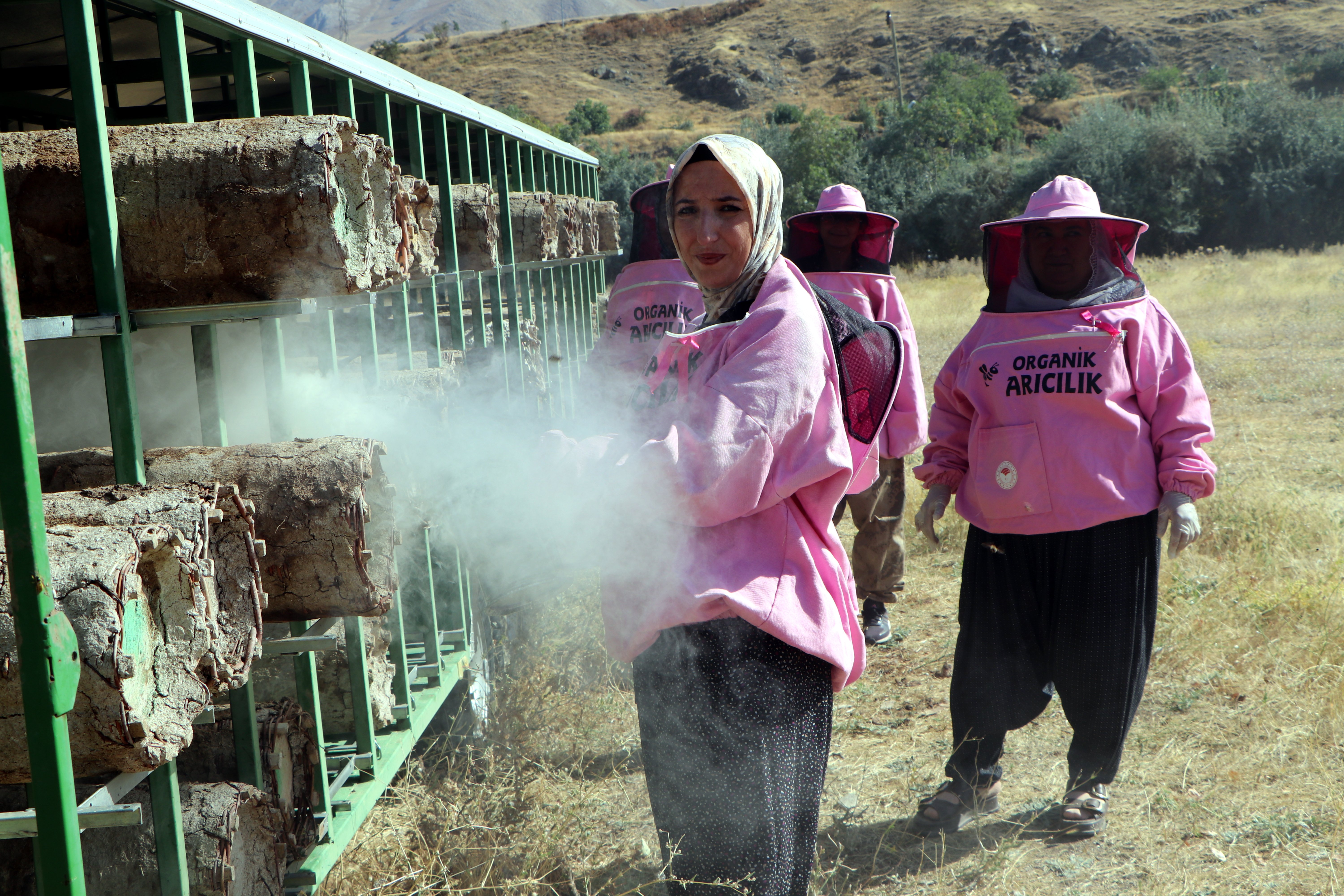 Kara kovan balı hasadı pembe maskeli arıcılar Gevaş