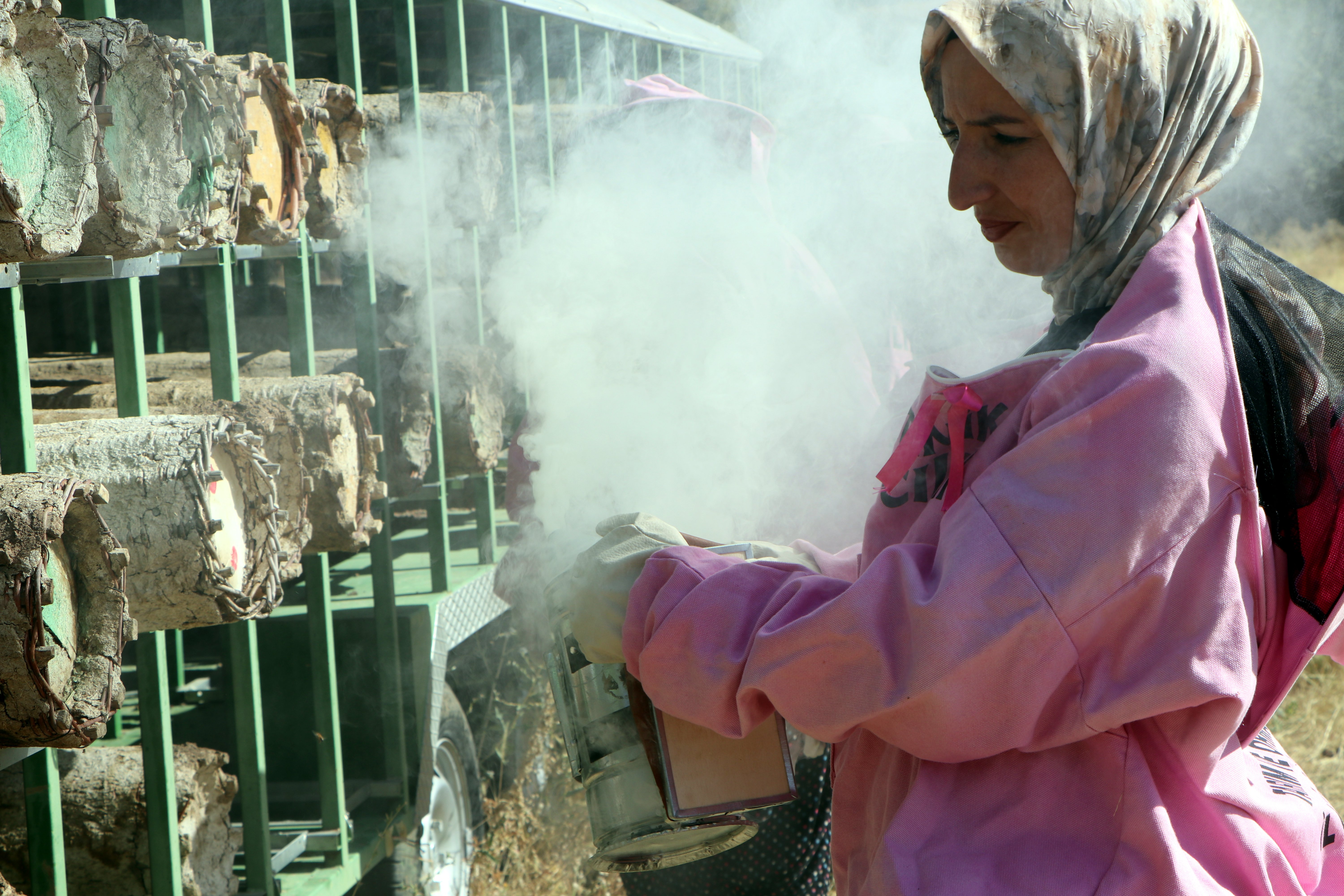 Van Gevaş pembe maskeli kadın arıcılar kara kovan balı hasadı