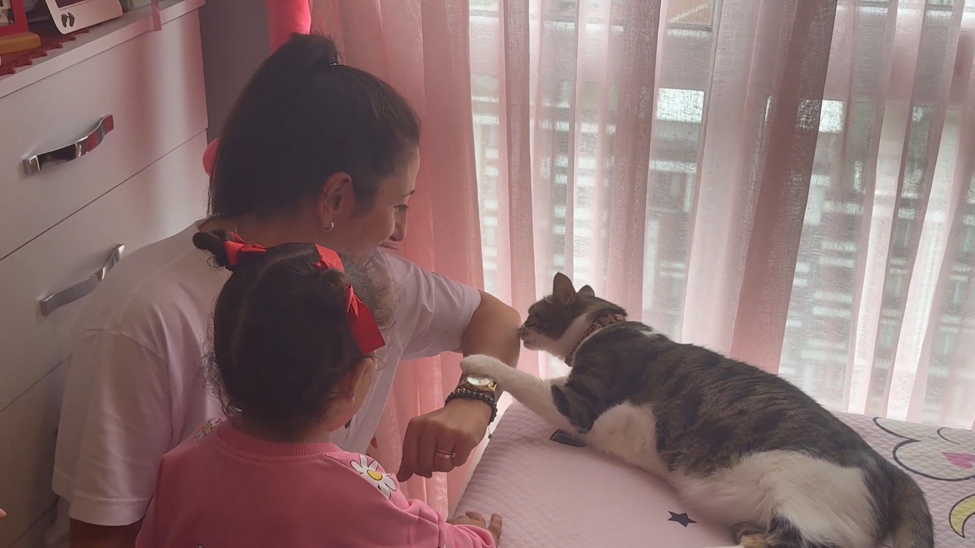 Hırsızların kediden kaçtığı anlar