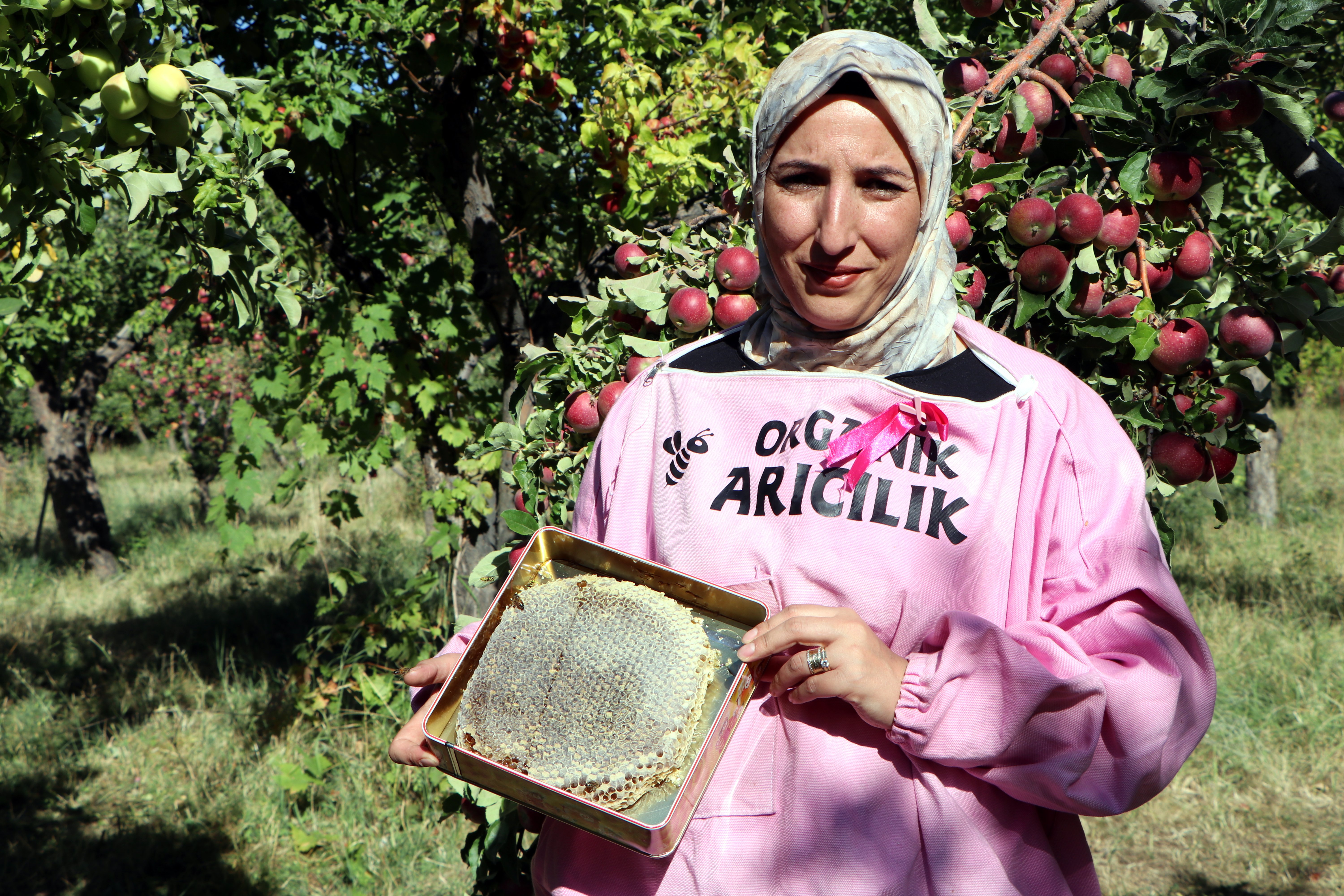 Songül Güleç Artos Kadın Kooperatifi arıcılık faaliyeti