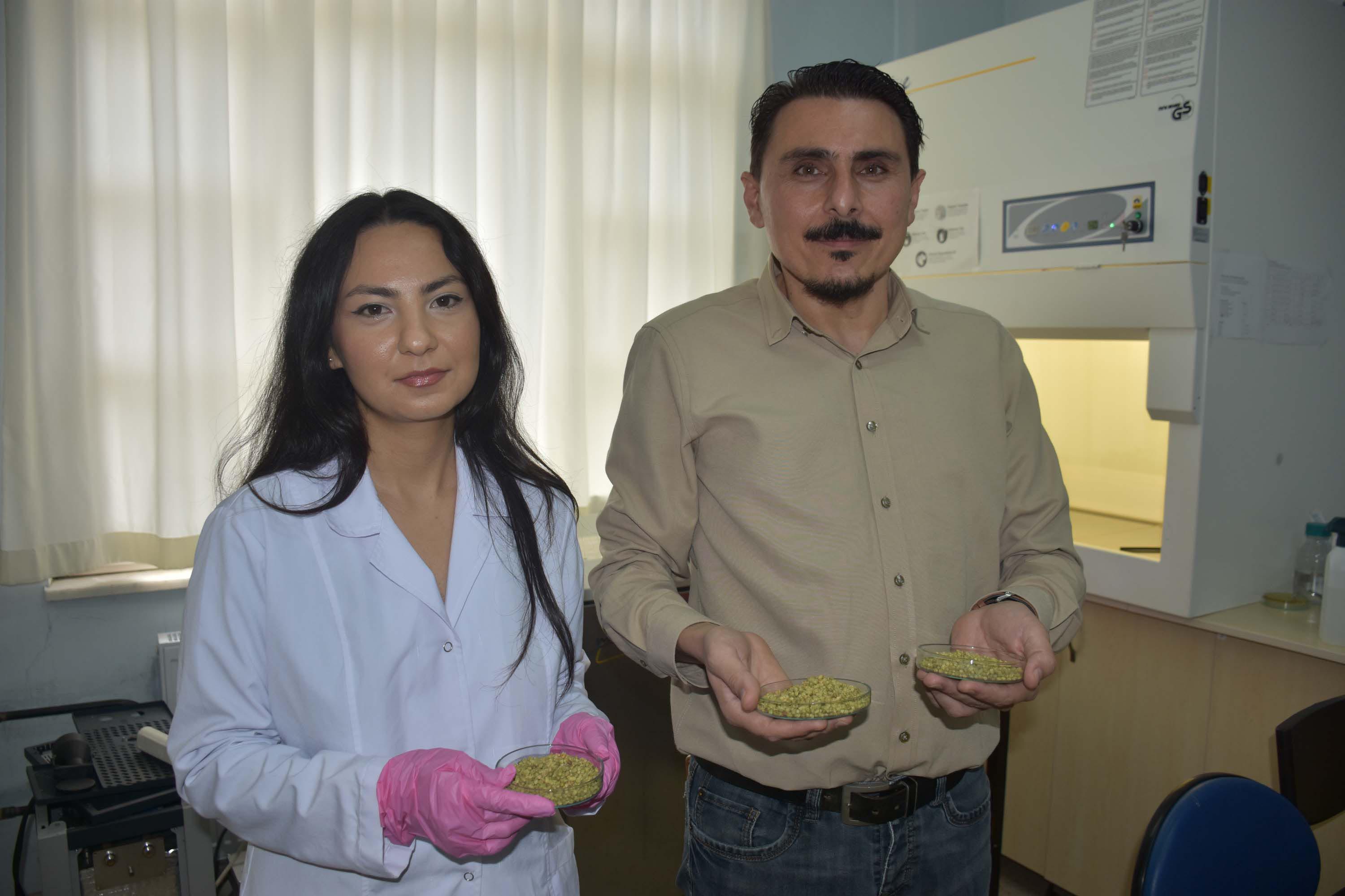 İzmir kekiği laboratuvar çalışması