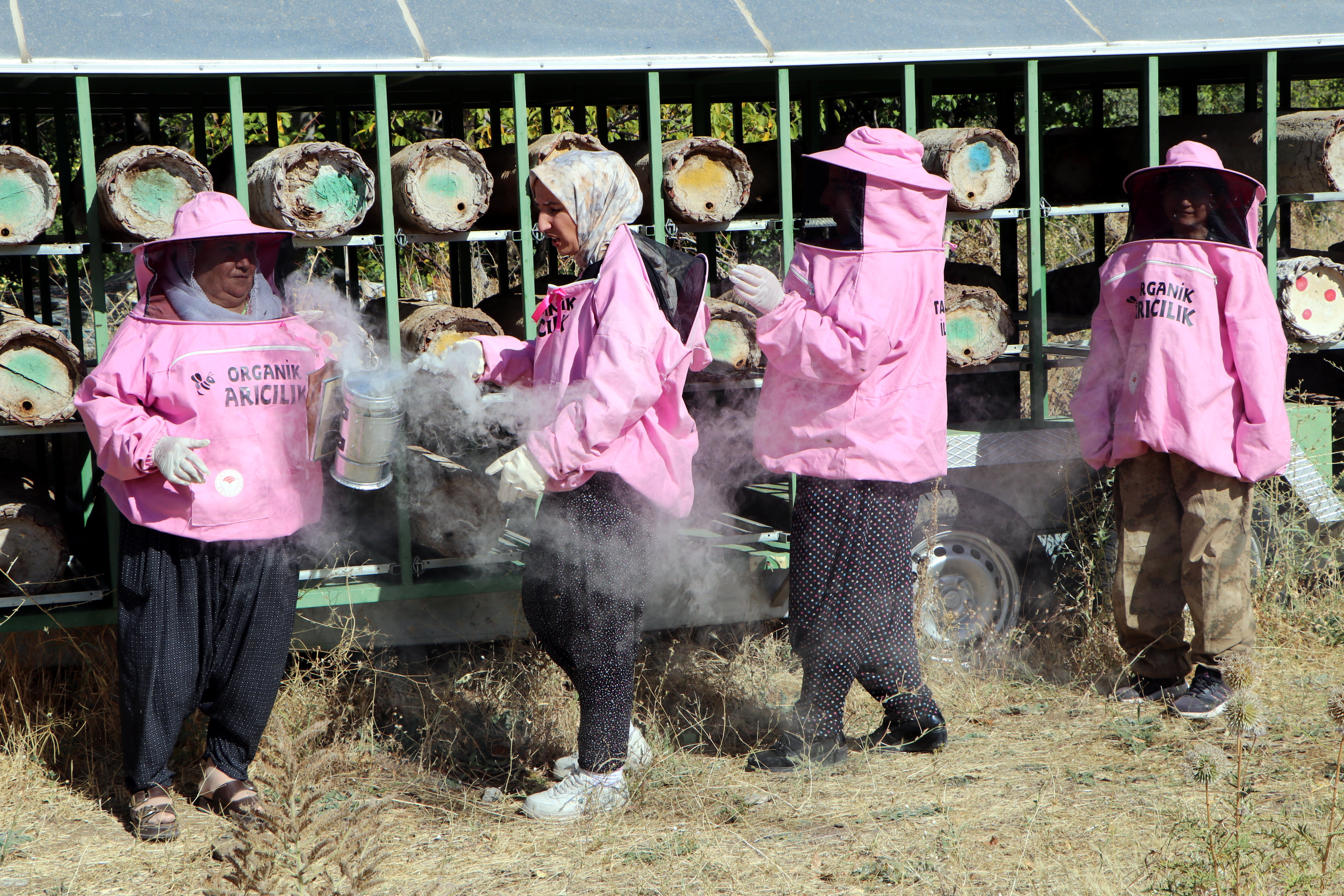 Pembe maskeli kadın arıcılar geleneksel kara kovan balı üretimi Van