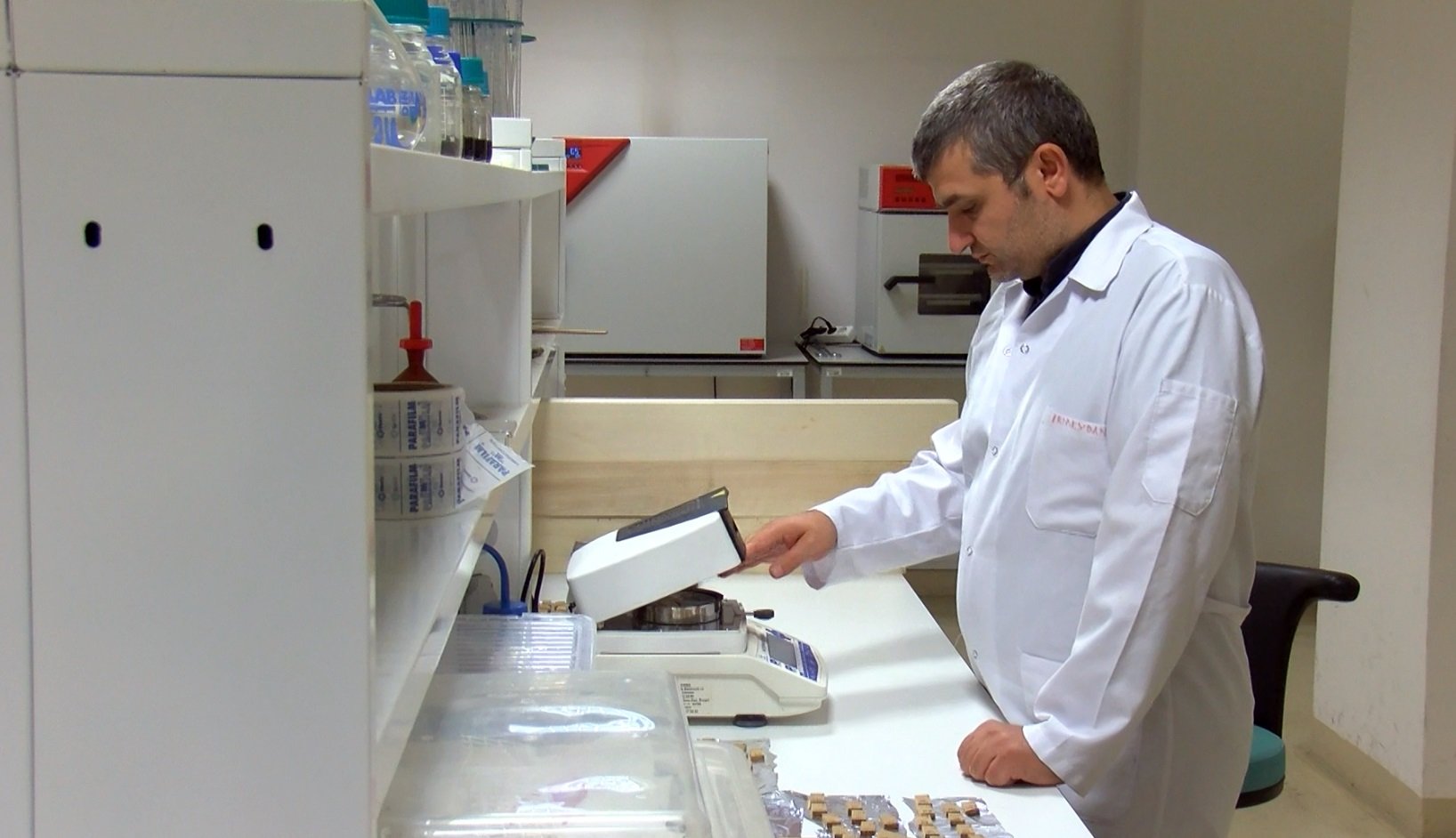 Ahşap yapılar ve kullanım alanları