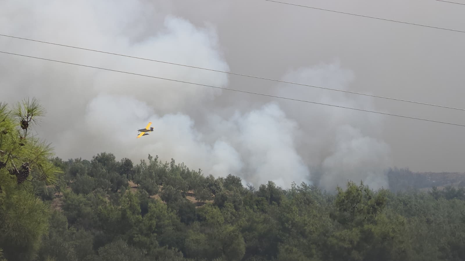 Orman yangını söndürme çalışmaları havadan devam ediyor