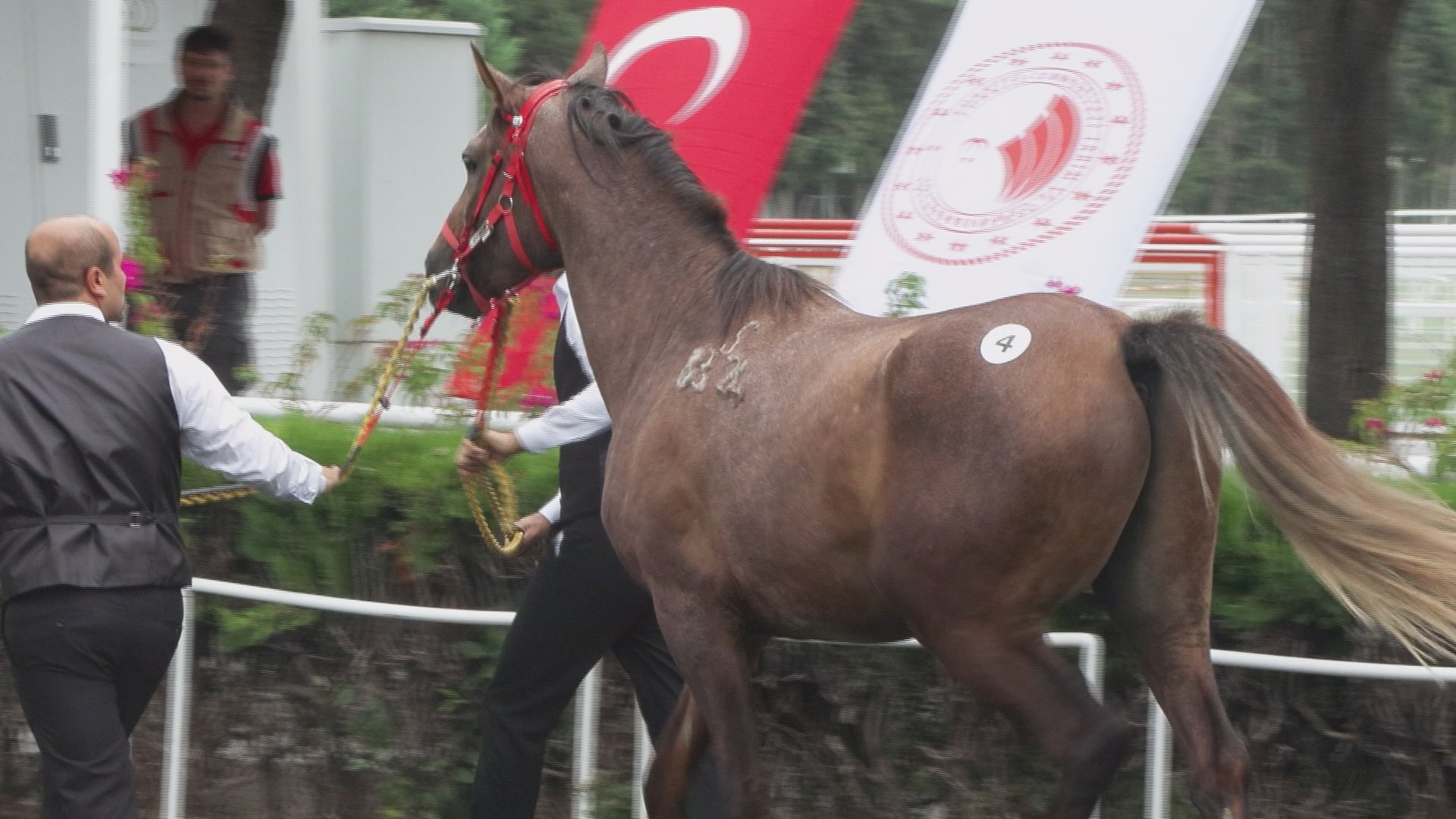 TİGEM ihale salonu