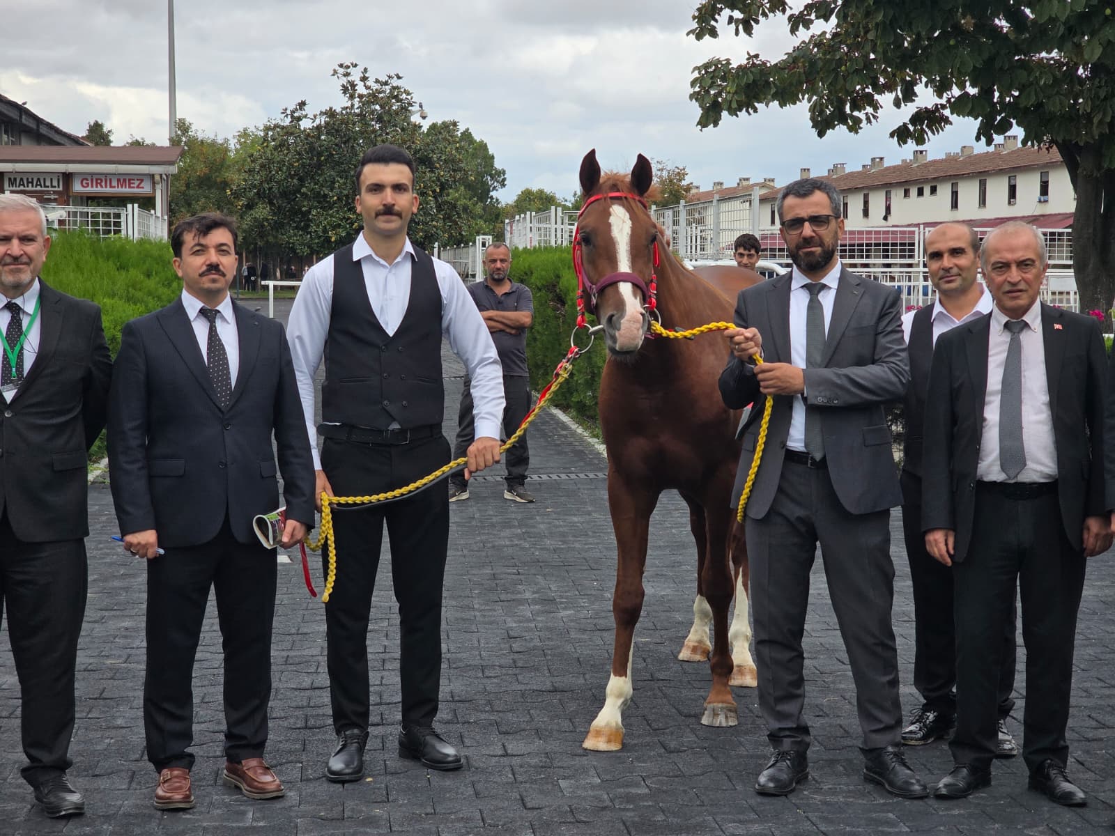 TİGEM elit tay satışı