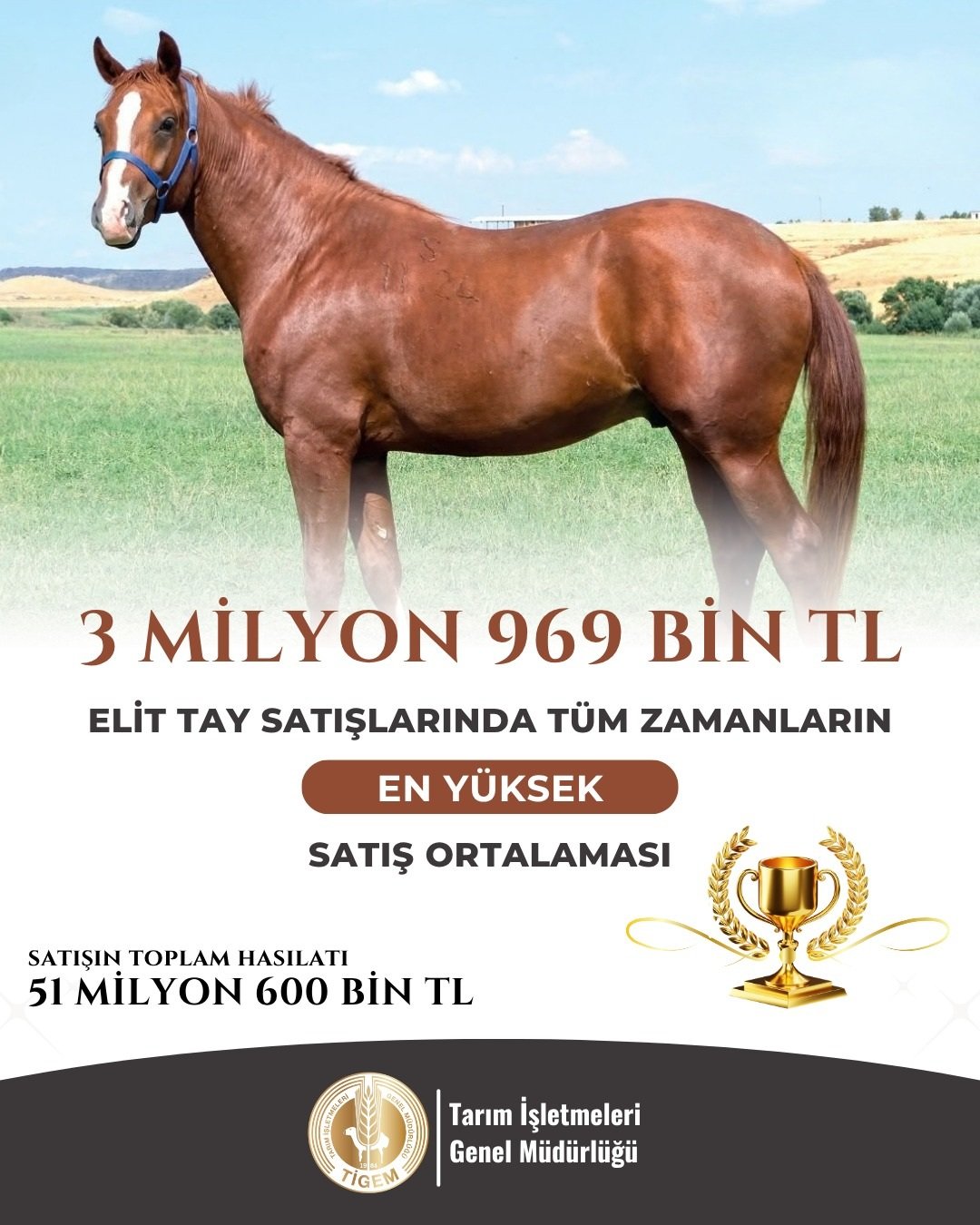 Veliefendi Hipodromu