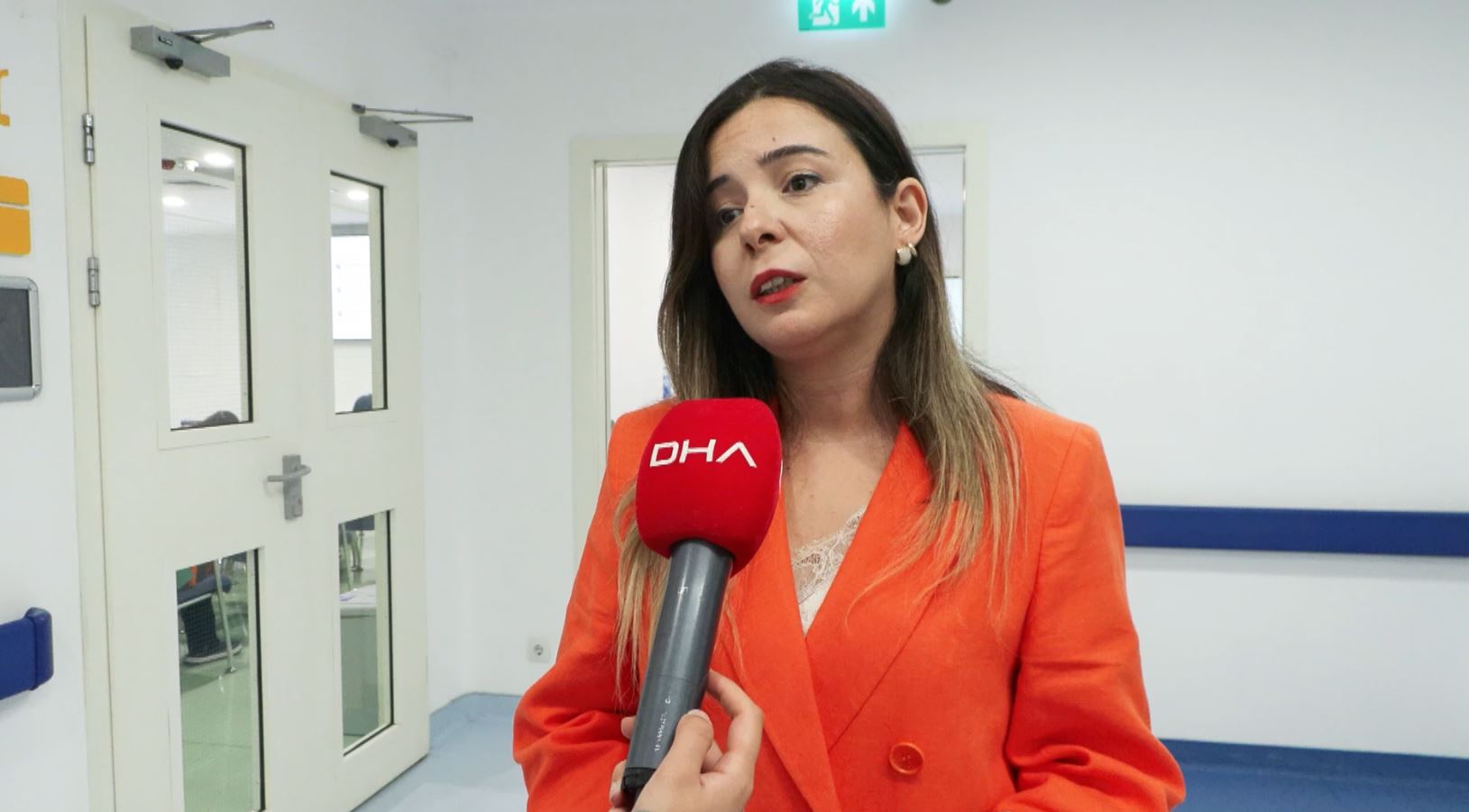 Programdan genel görünüm