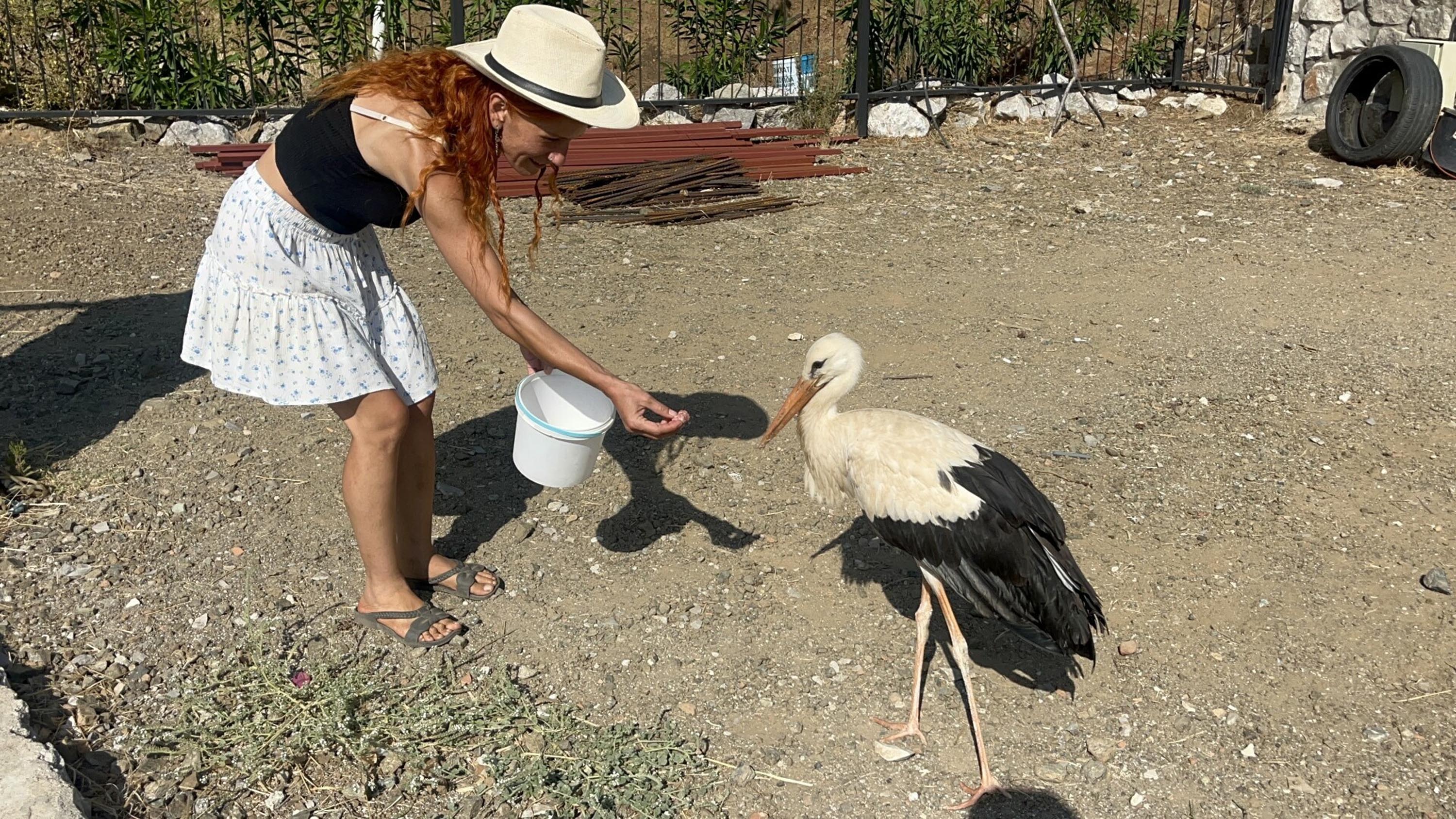 Fethiye Yanıklar Mahallesi