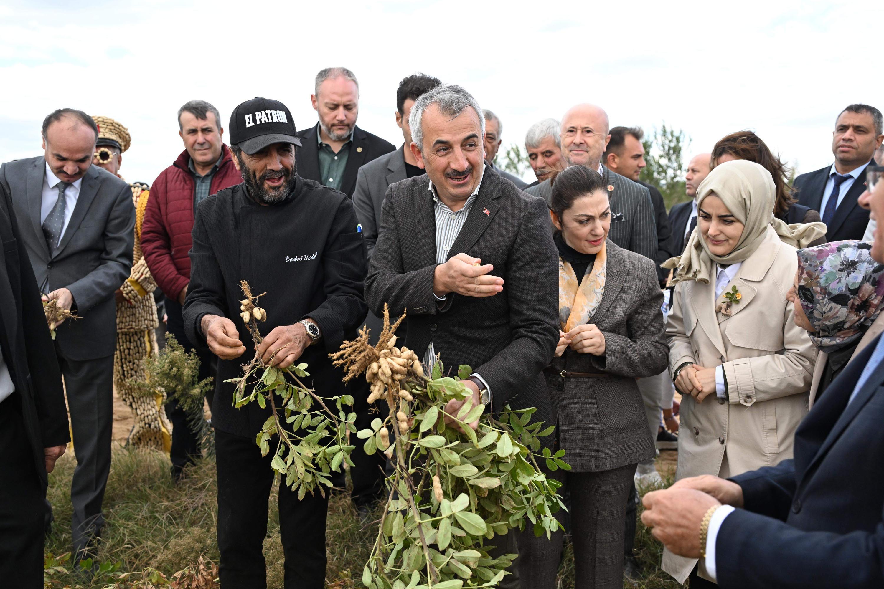 Edirne Valisi Yunus Sezer fıstık hasadı şenliğinde