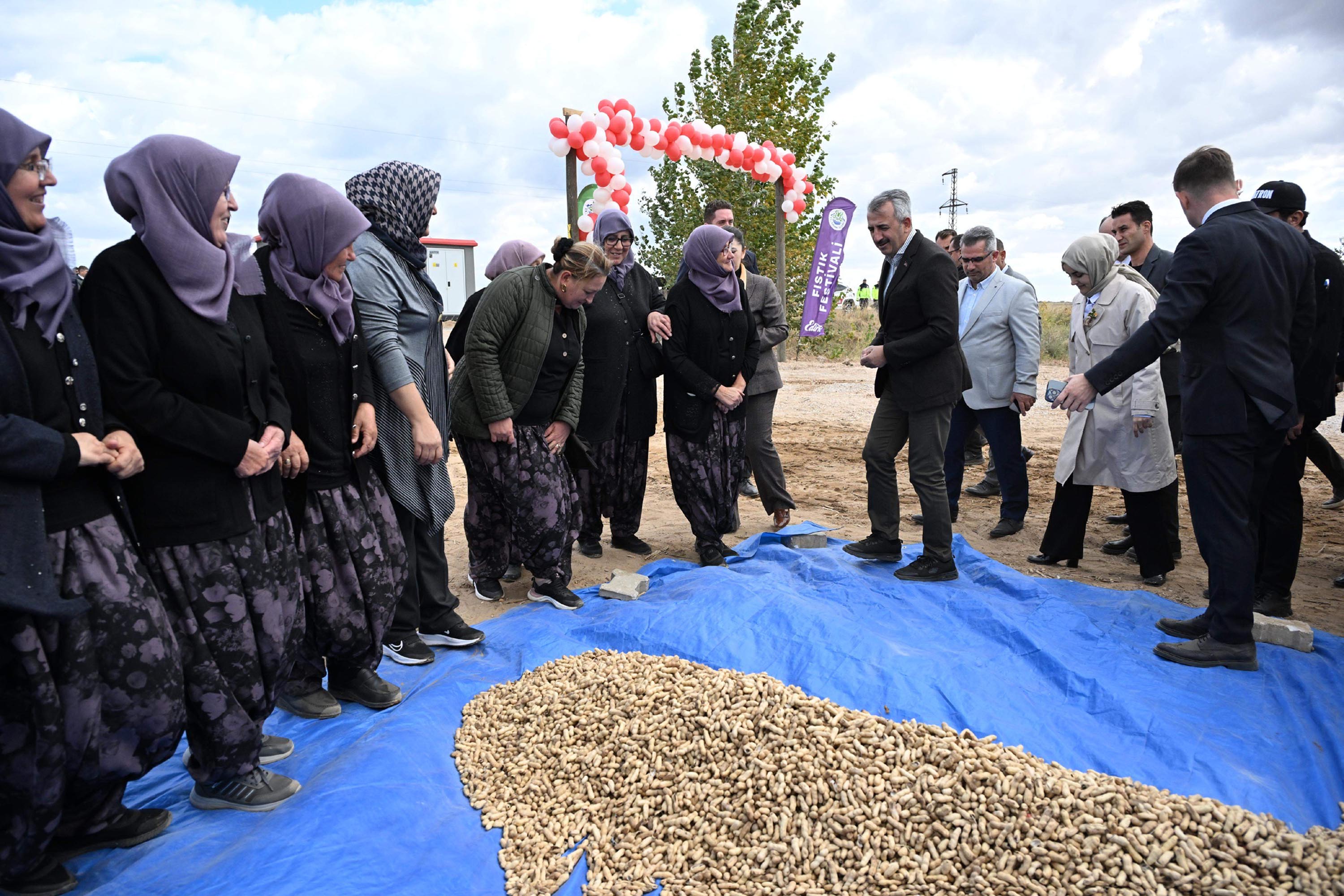 Meriç Alibeyköy Fıstık Hasadı Şenliği