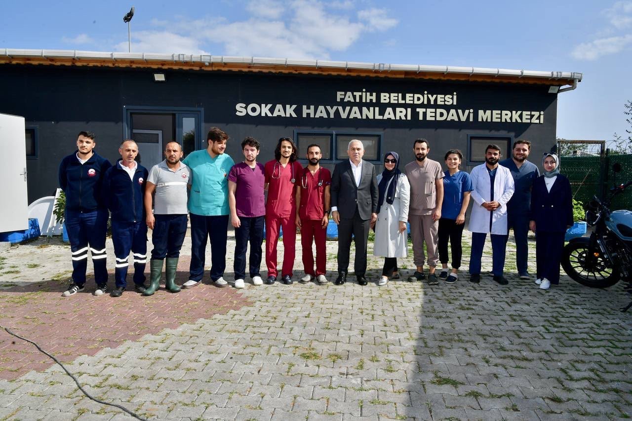 Yedikule Hayvan Bakımevi yenileme projesi etapları